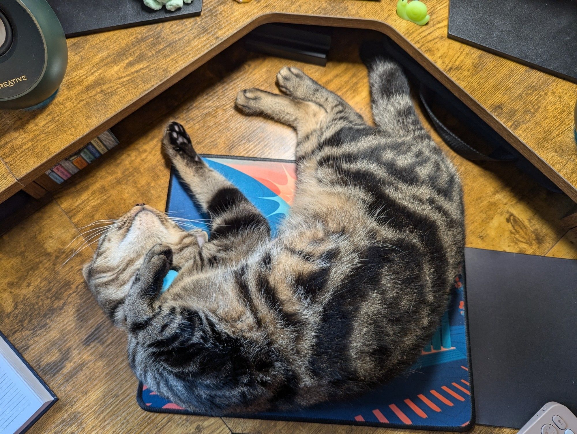 A tabby cat reclining on his back on the mousemat.