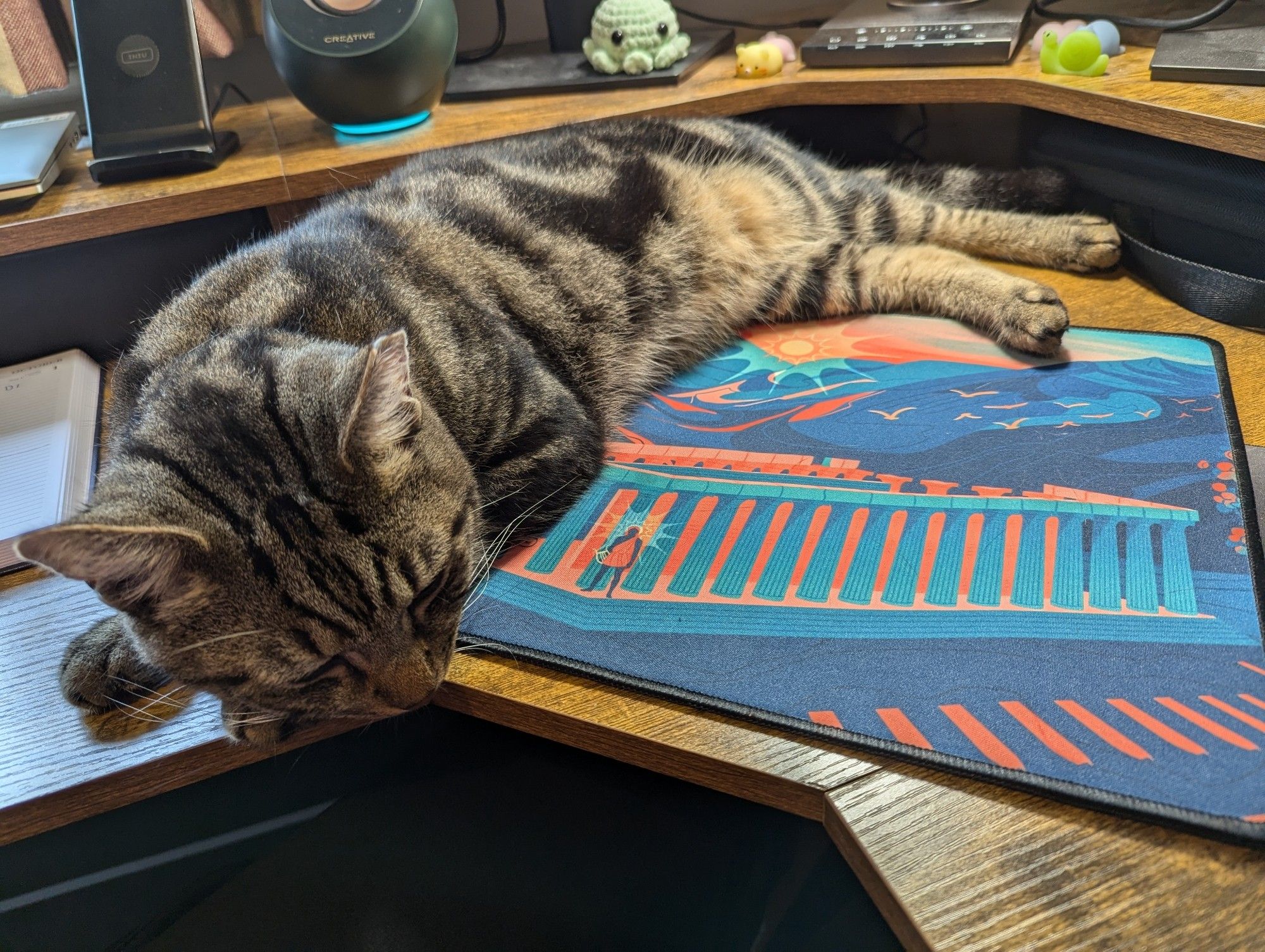 A tabby cat snoozing next to a mousemat with an illustration of the temple of Apollo.