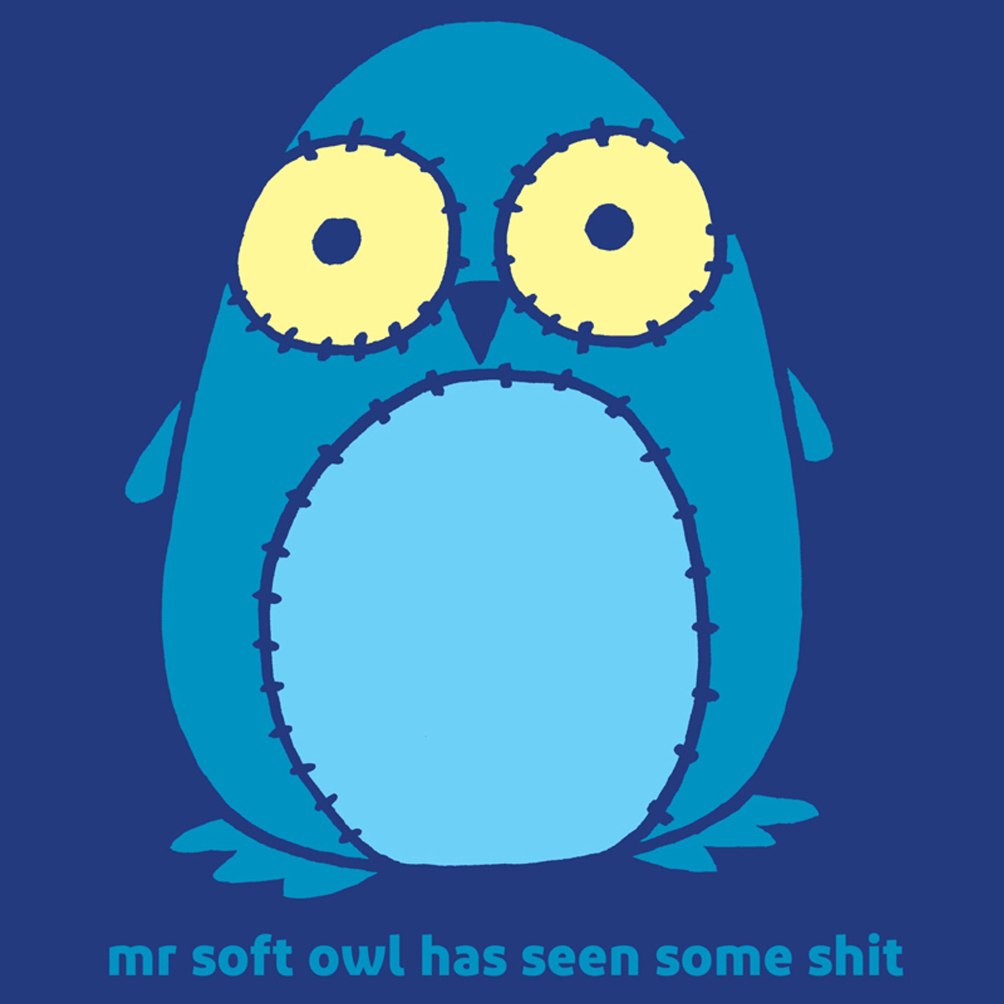 A cute owl plushie with the caption, "mr soft owl has seen some shit"