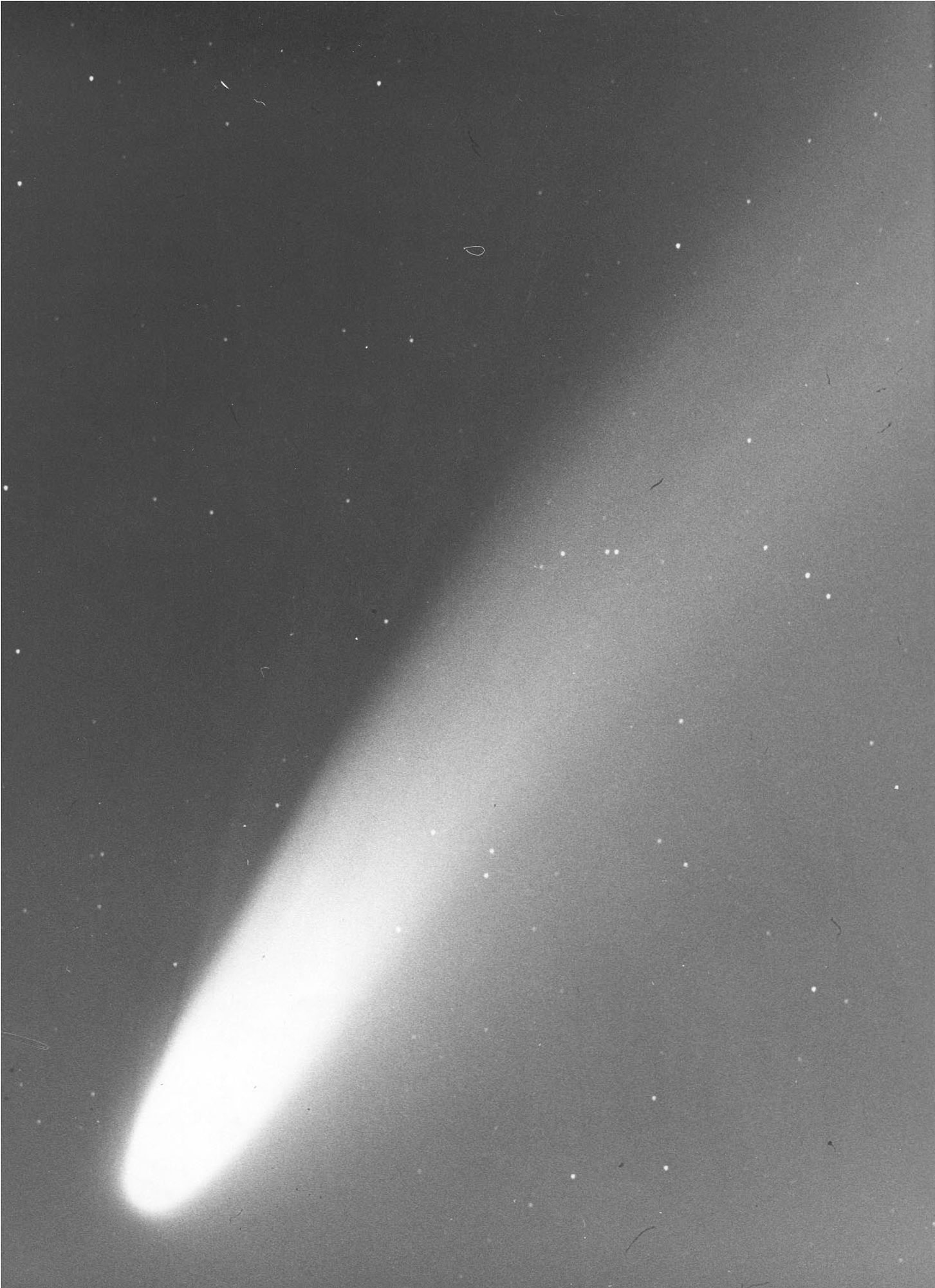 Photograph of Comet West from 1976, showing dust and gas tails and looking a lot like latest images of Comet Tsuchinshan-ATLAS.