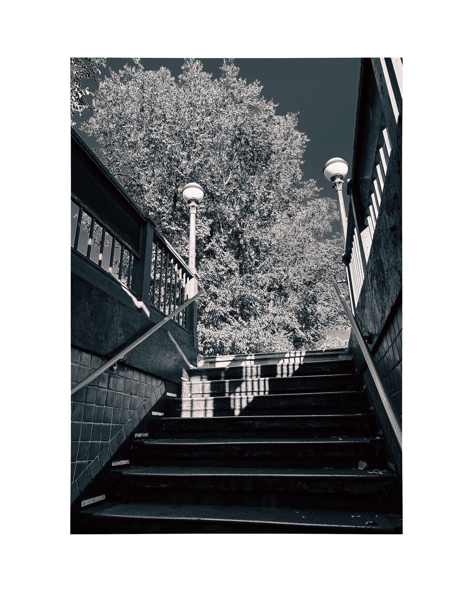 Looking up at light and shadows on the top steps of a subway station entrance. Outside the entrance, there is a tree and cloudless sky.