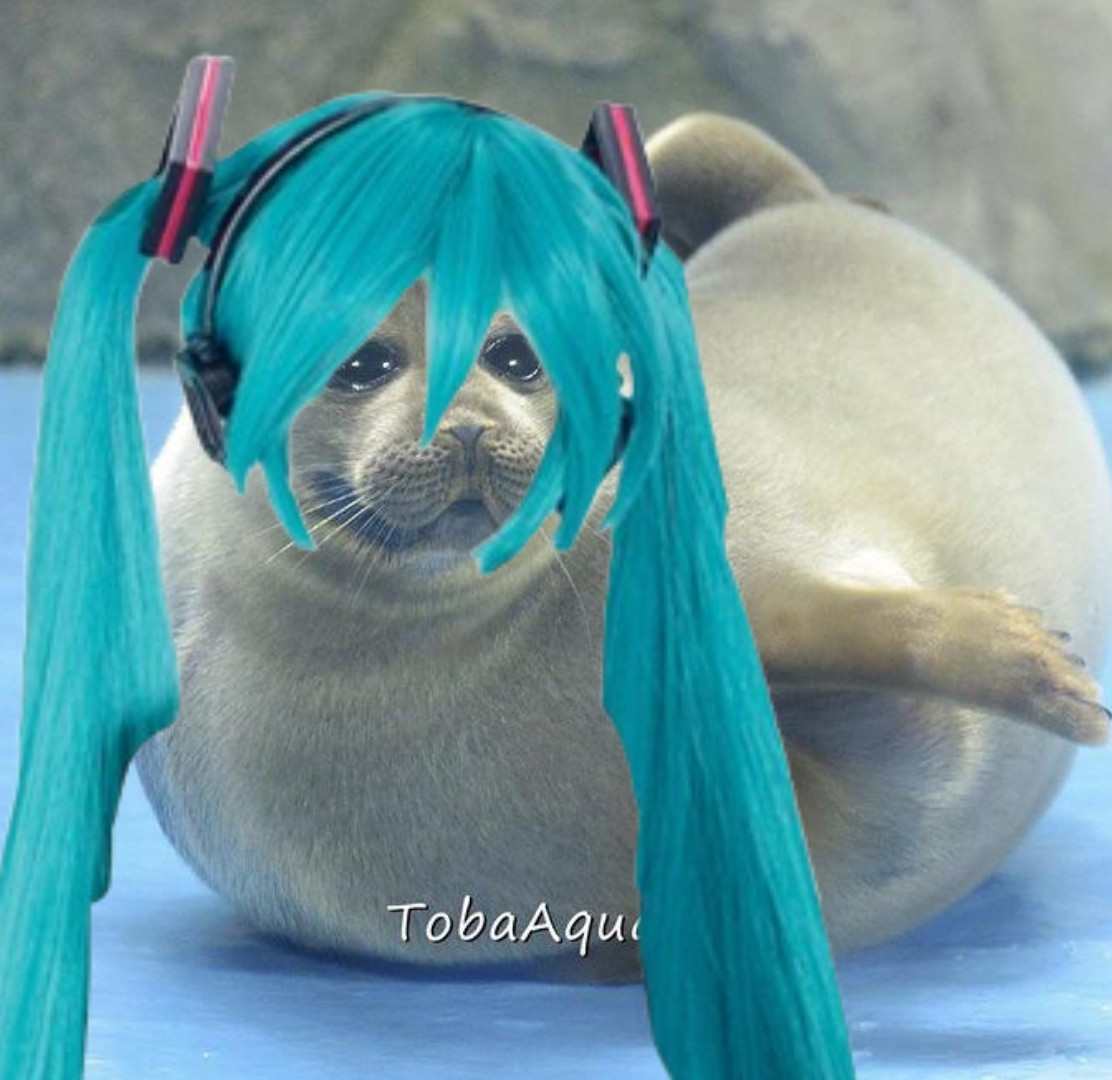 Picture of a  real seal with typical blue hair from of Hatsune Miku 