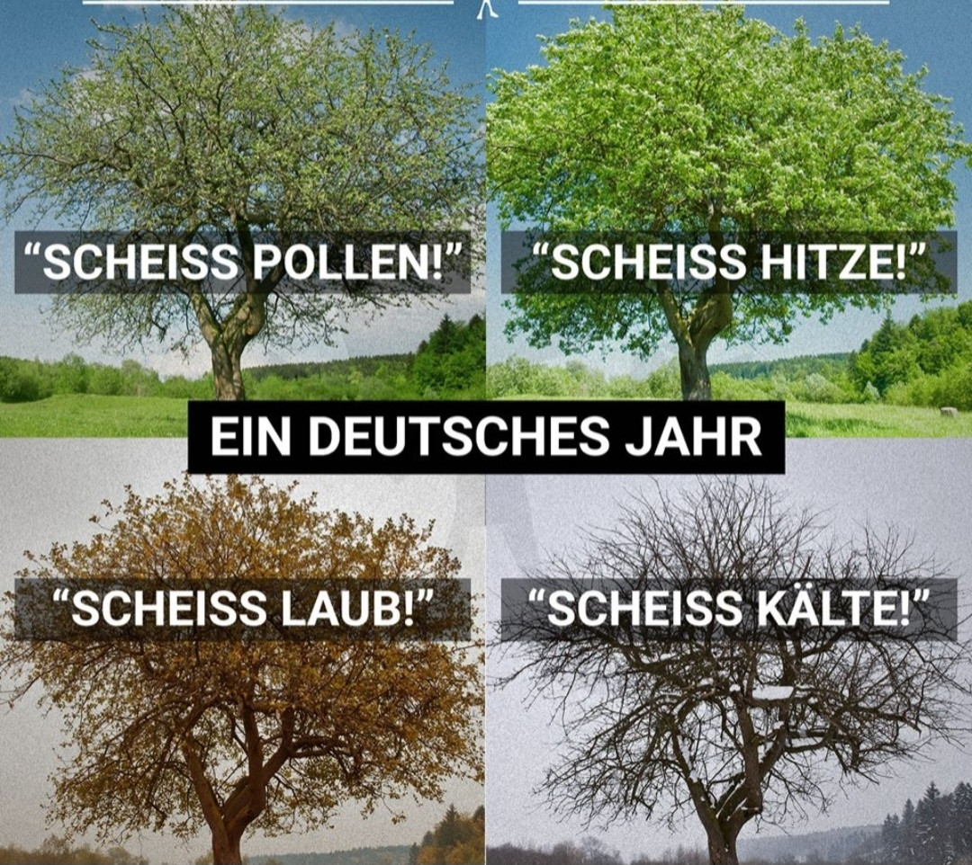 4 Bilder mit jahreszeitlichem Baum.
Text zum jeweiligen Bild::
Scheiß Pollen,...Hitze,...Laub,...Winter
In der Mitte steht: Ein deutsches Jahr