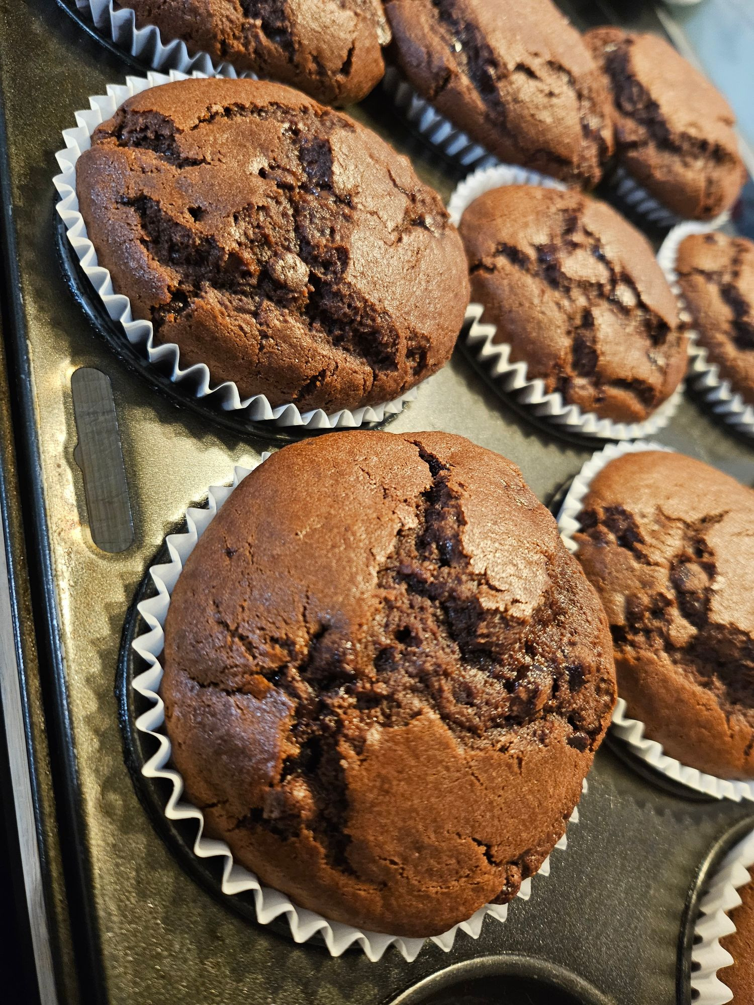 A photograph of freshly baked chocolate muffins in a tray. The tops are cracked and look extremely spongy.