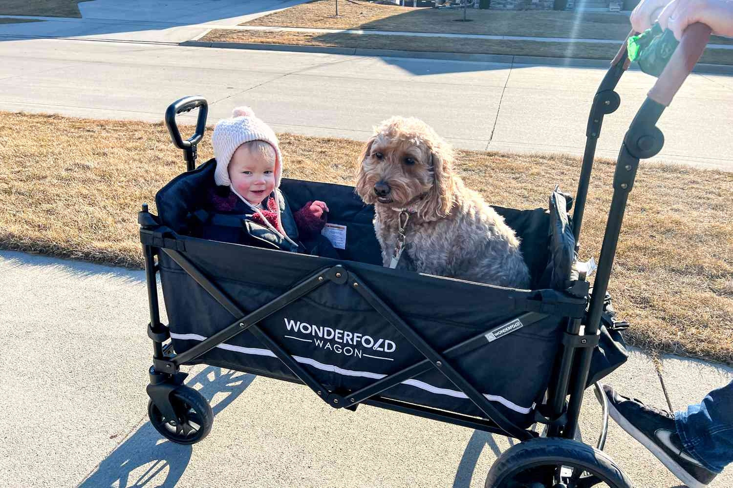 Square canvas wagon type stroller with a dog and a toddler in it. 