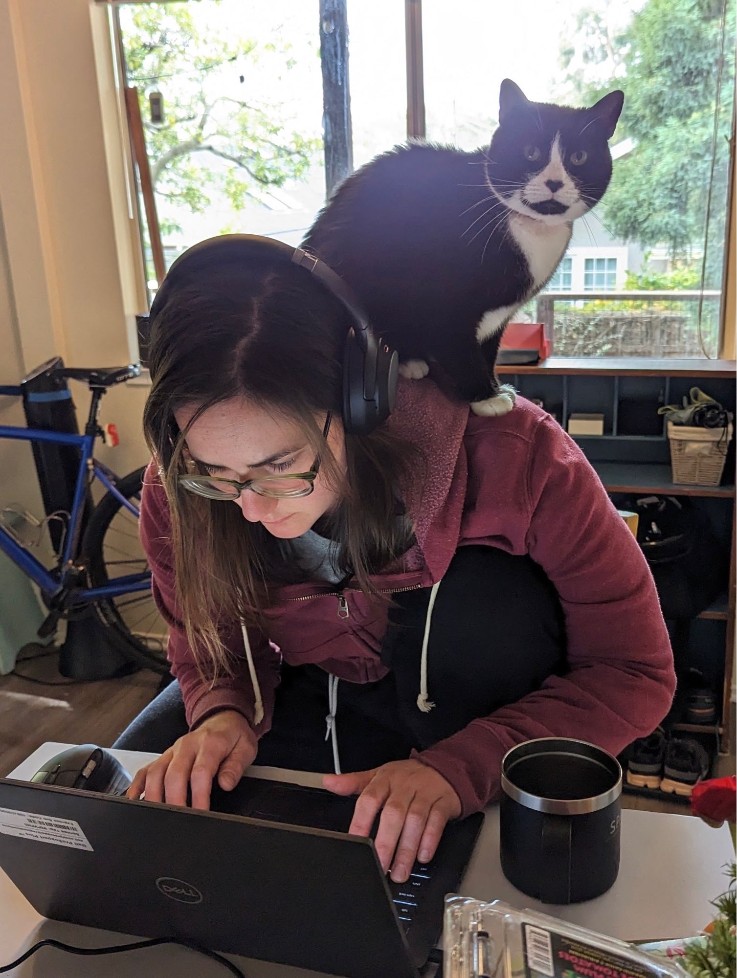 Cat sitting on scientist’s shoulders while 
working at computer.