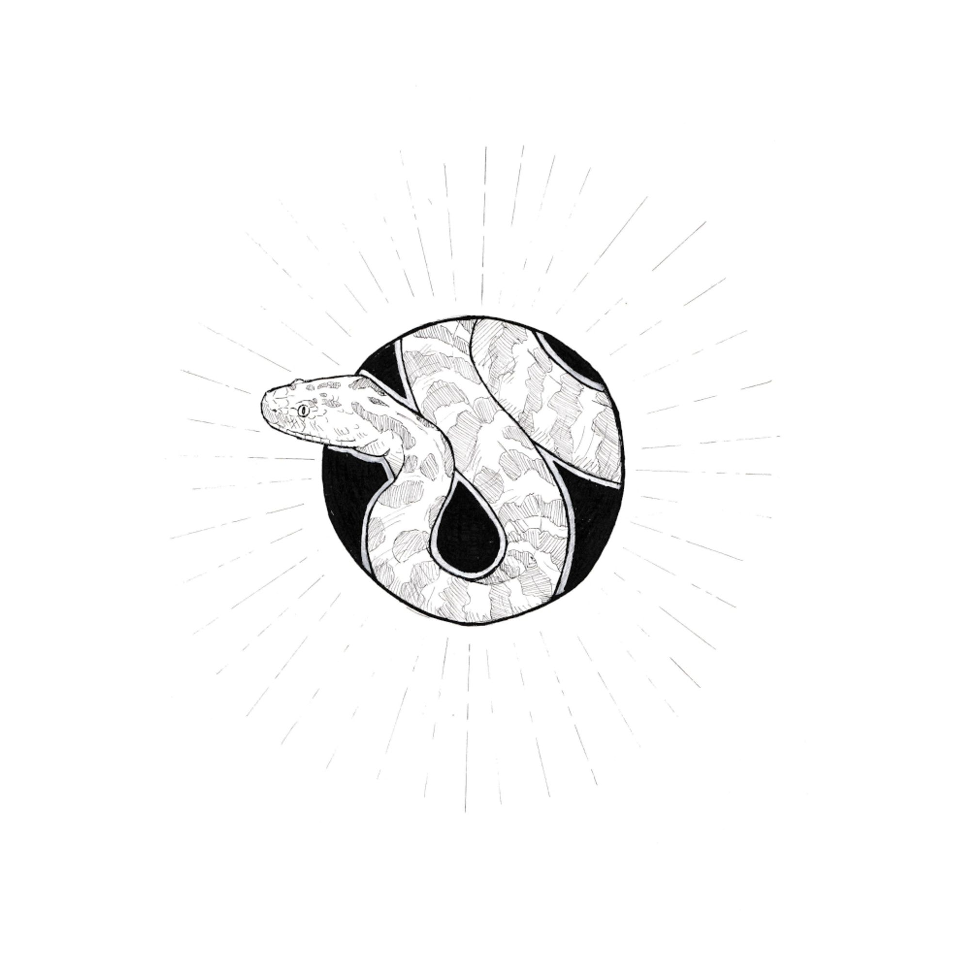 Illustration d'un crotale d'Asie centrale réalisée à l'encre noire. Le serpent sort un peu d'une cercle noir fait derrière lui. Différents traits partent du cercle vers l'extérieur, comme un soleil.