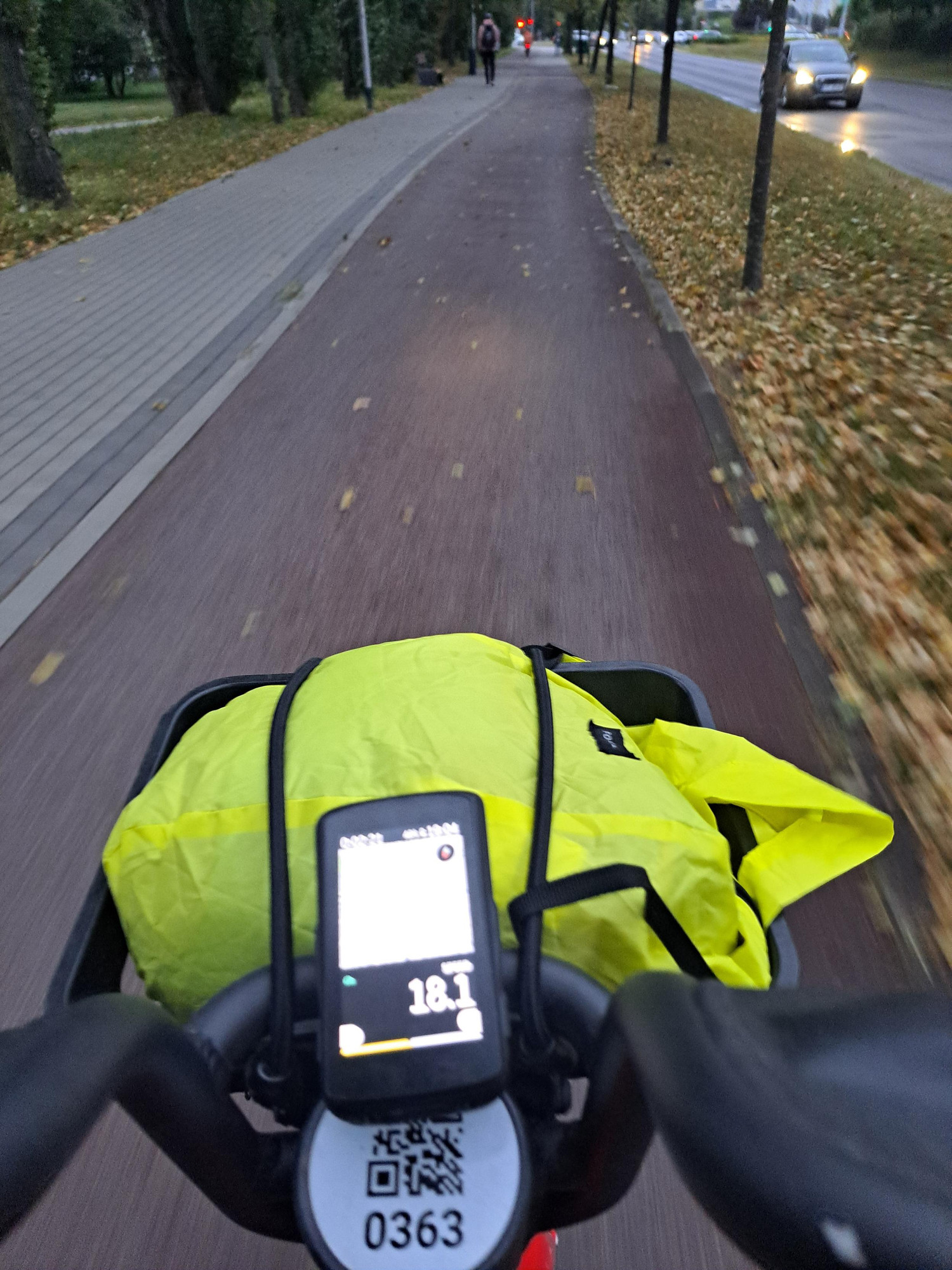 Kuva otettu punaisella kaupunkipyörällä ajaessa. Ohjaustangossa näkyy pyöräilytietokone, etukorissa keltainen reppu. Vasemalta harmaa jalkakäytävä punertavan pyörätien vieressä. Viherkaistalla nuorten puiden alla keltaisia lehtiä nurmikolla. Autojen valot heijastuvat märästä afaltista. Polkupyörän valo näkyy pyörätien pinnassa. 