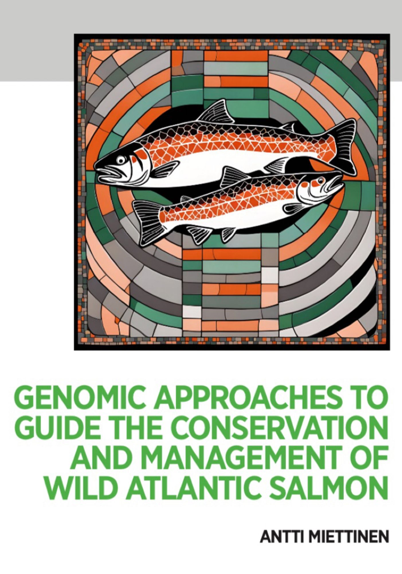 A picture of the thesis cover with an illustration of two salmon in orange, green and grey colours facing opposite directions.