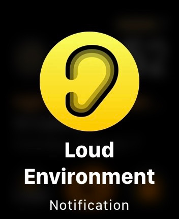 a screenshot of the "loud environment" notification from an apple watch