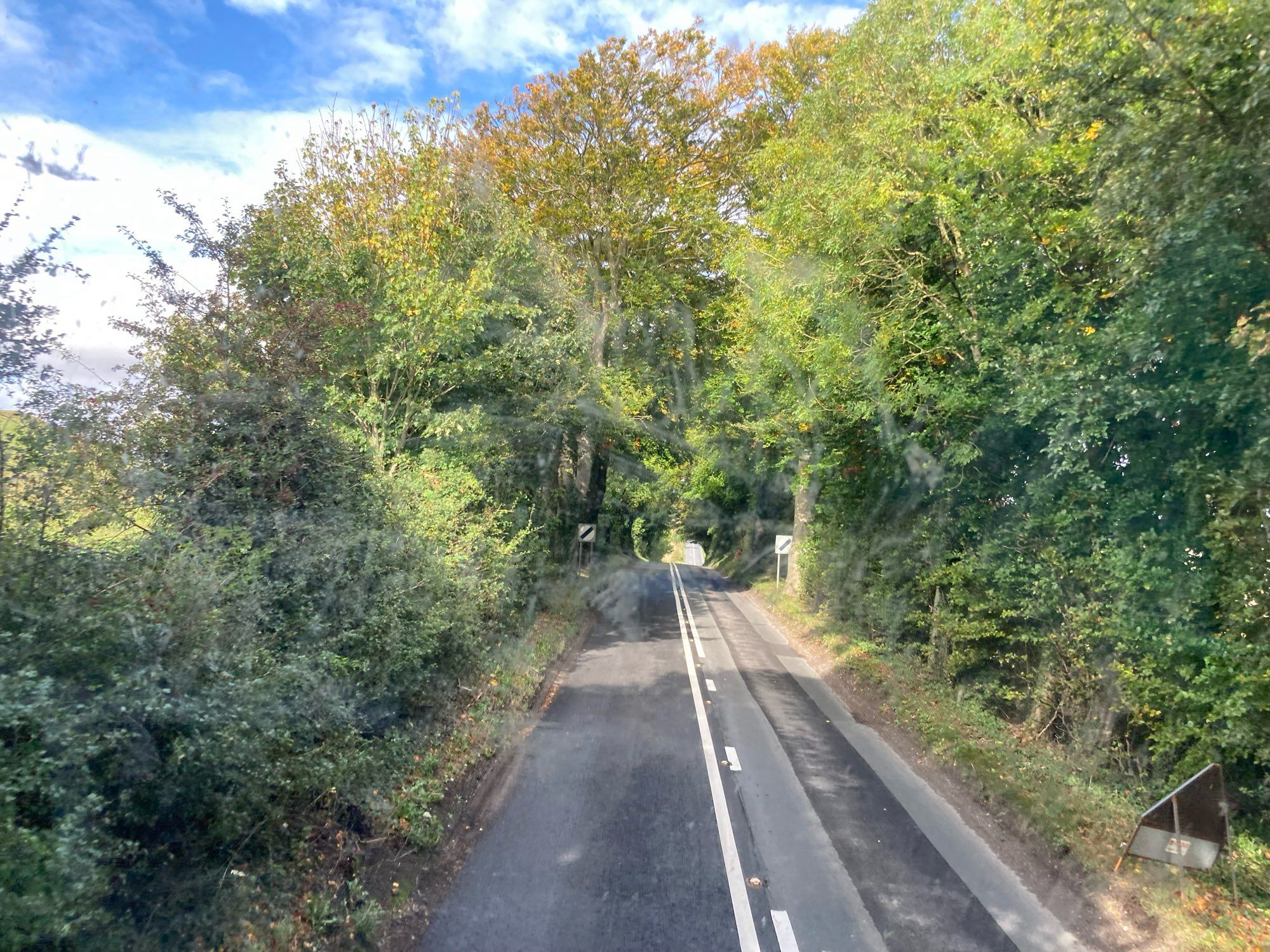 Von weit oben ein Blick runter auf eine enge Straße, die wir entlang gehen. Bäume links und rechts, die weit über die Straße ragen. Blauer Himmel.