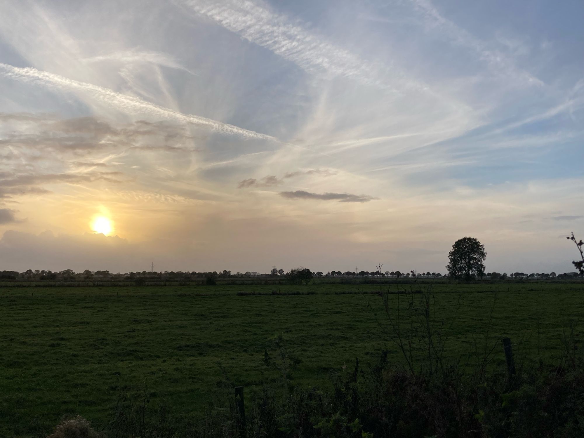 Eine Weide, im Gegenlicht dunkelgrün. Rechts entfernt ein einsamer großer Baum . Links ein Stück über dem Horizont der gelbe Sonnenball. Das gelbe Sonnenlicht verteilt sich um die Sonne und geht in blau über. Wolkenstreifen.