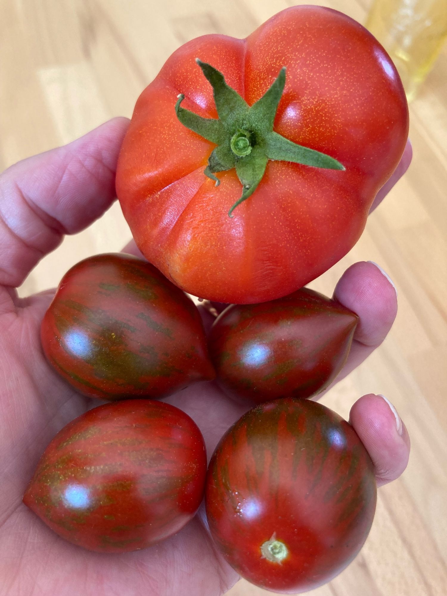 In der linken offenen Hand liegen eine große und 4 kleinere Tomaten.