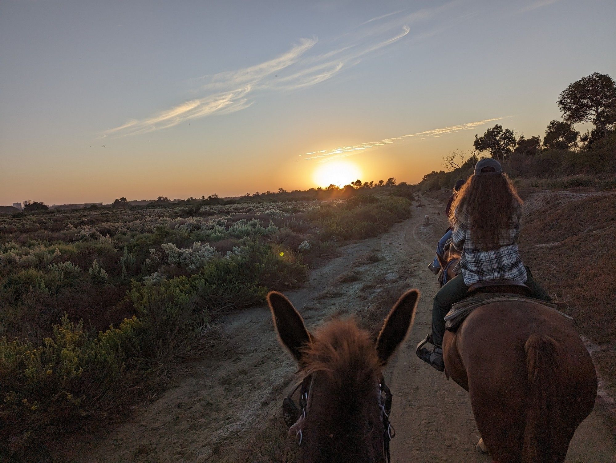 Riding a horse at sunset