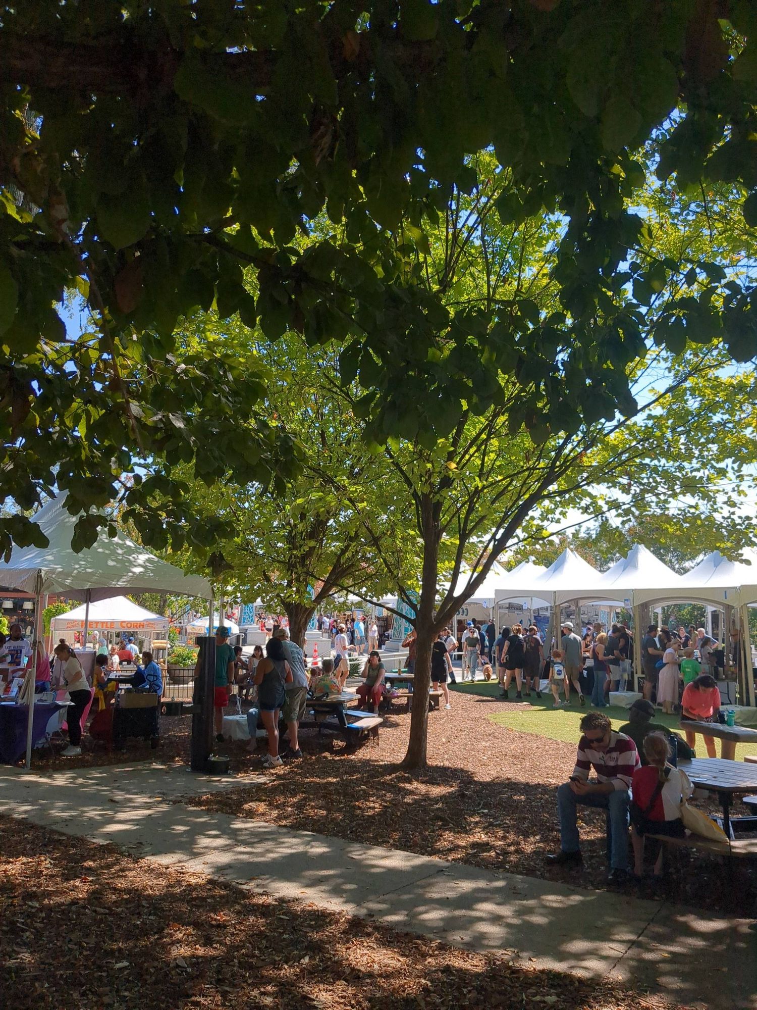 Decatur book fest