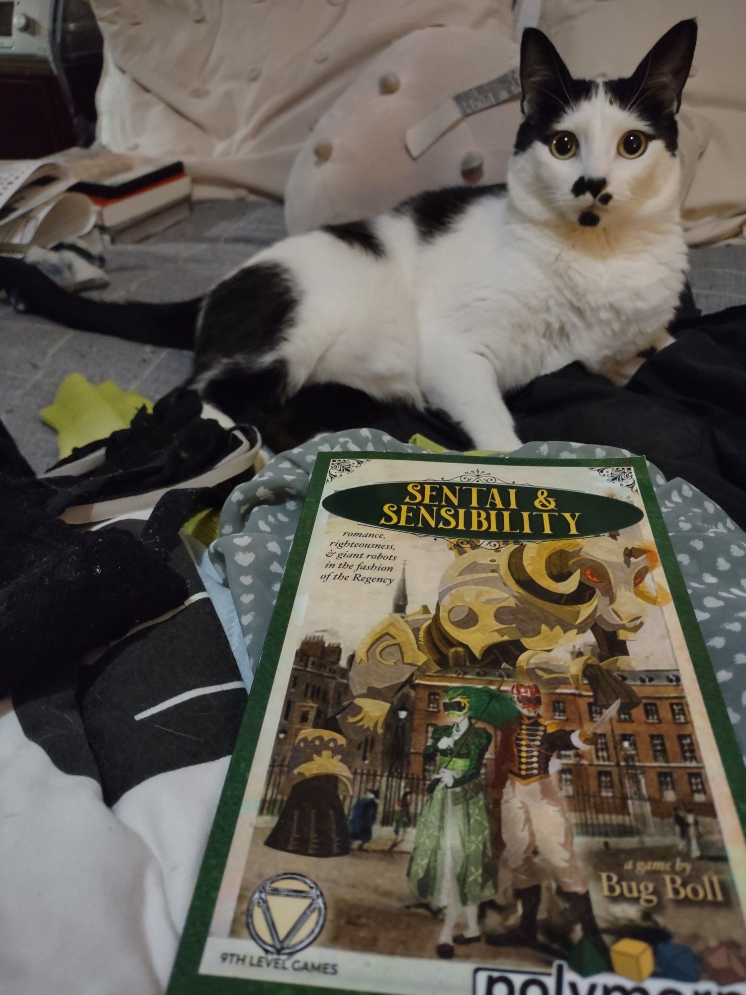 Cat sitting on bed with copy of Sentai & Sensibility by Bug Boll