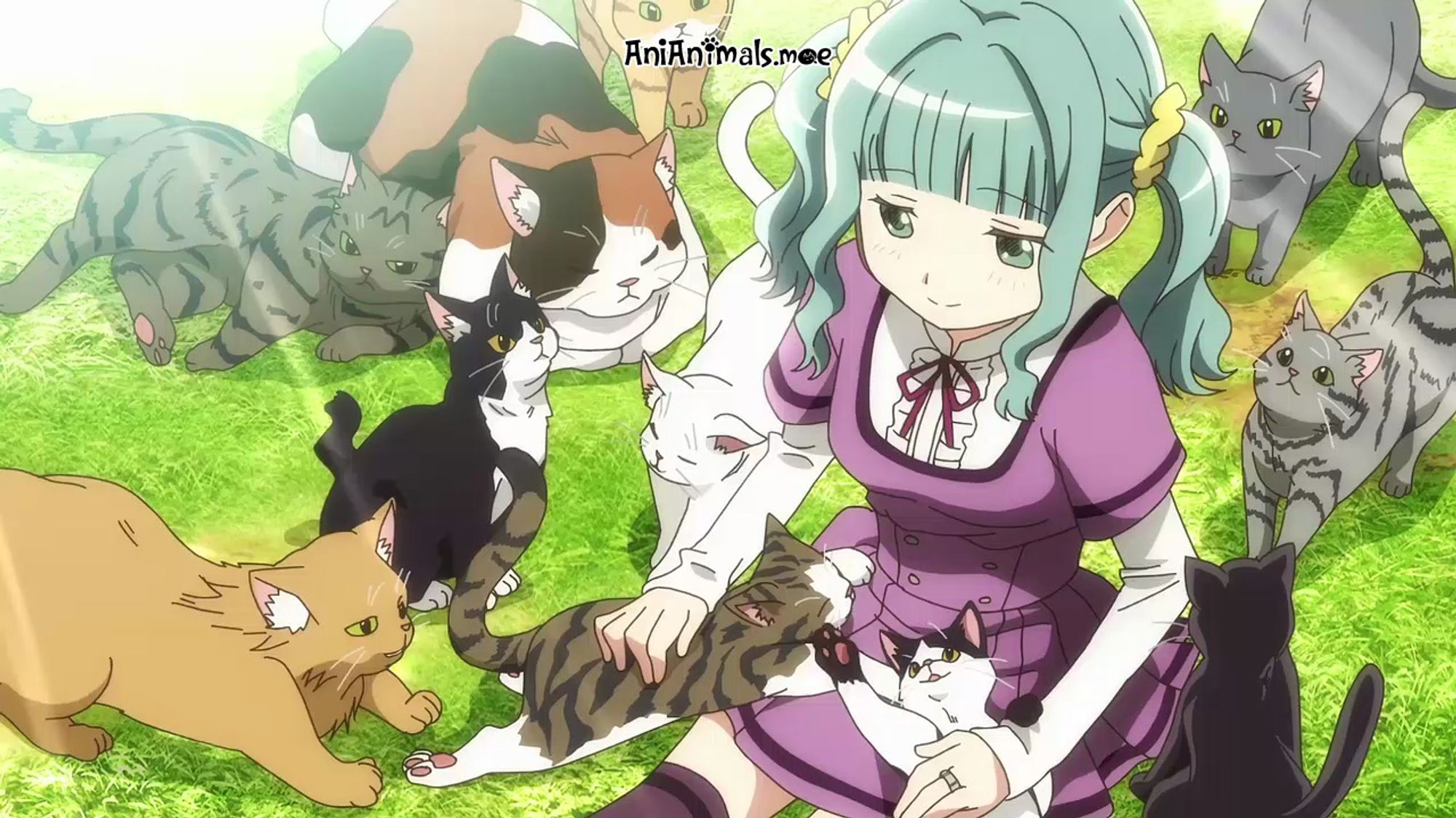 A lot of cats hang out with a girl on a grassy patch