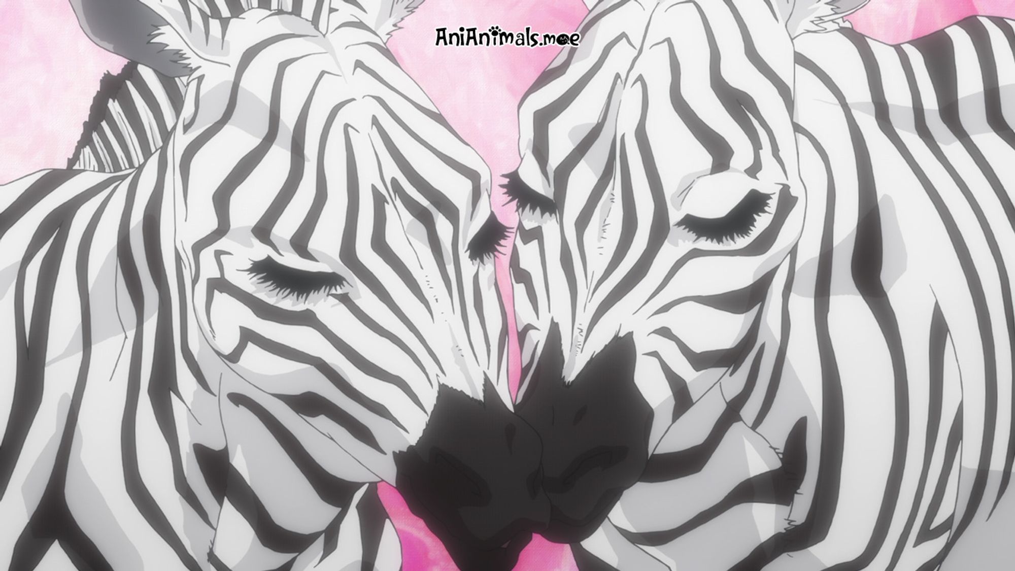 Two zebra with the eyes closed