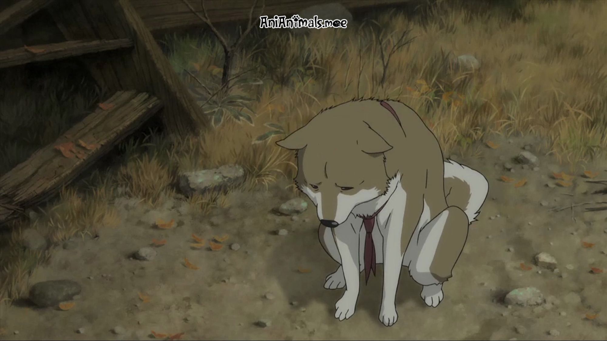 A dog offers food to a swordsman, then begs for its own food