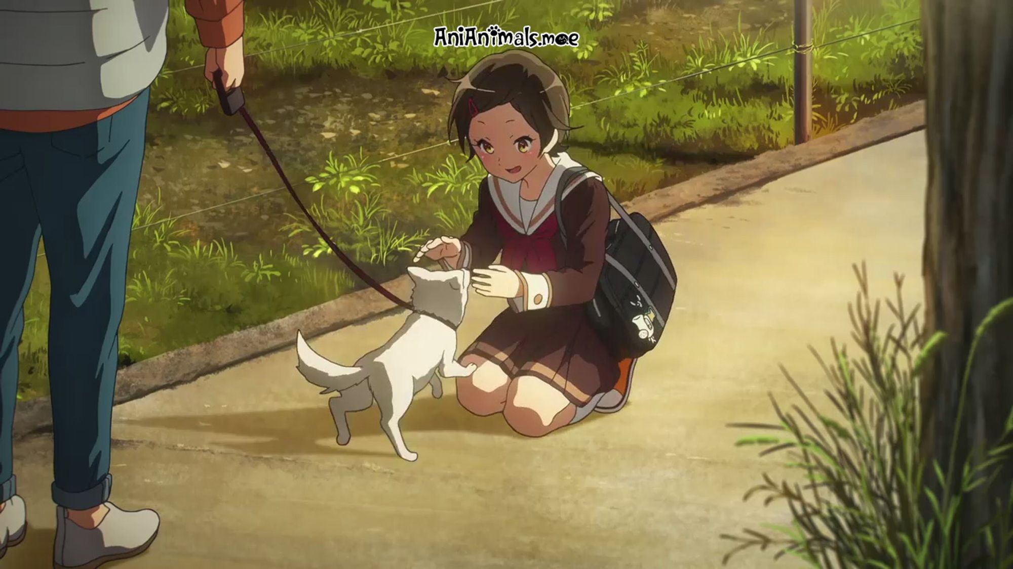 A white dog is excited to see some schoolgirls