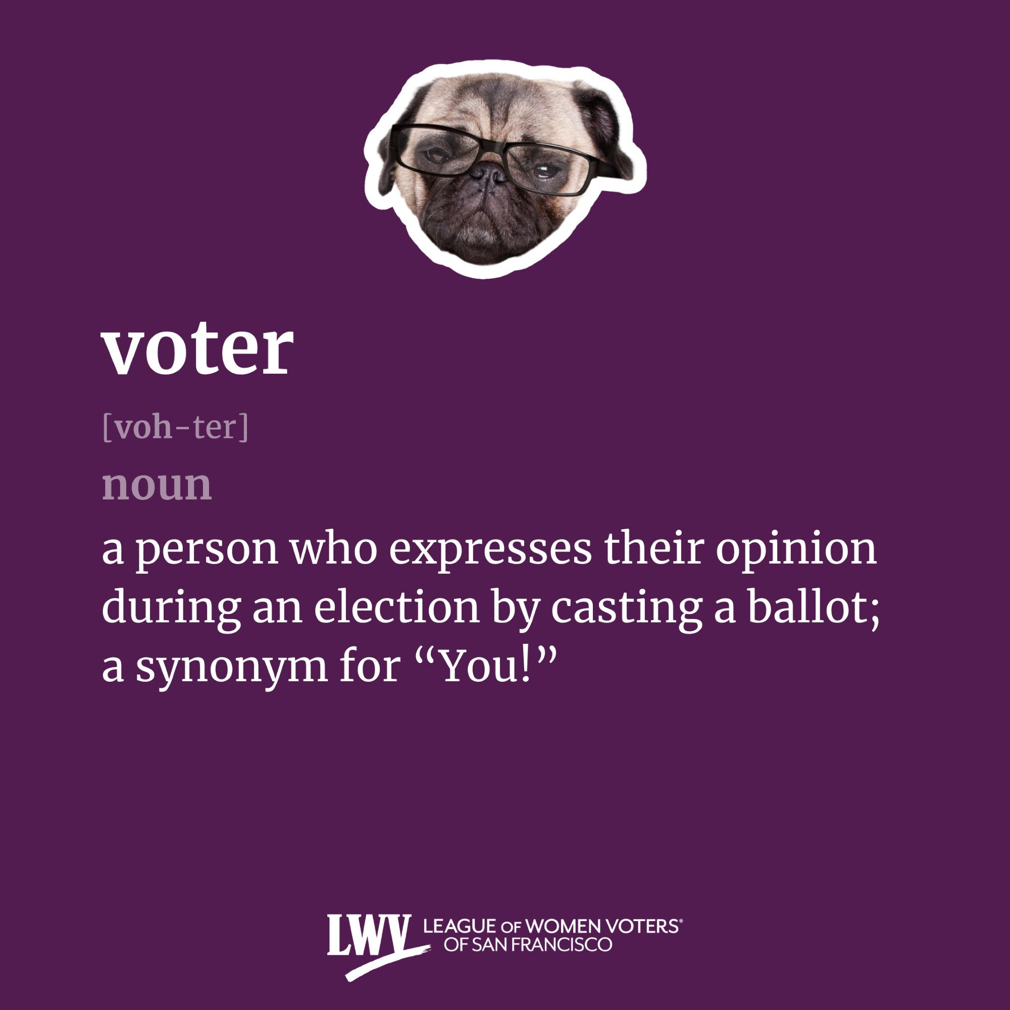 voter, noun, a person who expresses their opinion during an election by casting a ballot; a synonym for “You!”