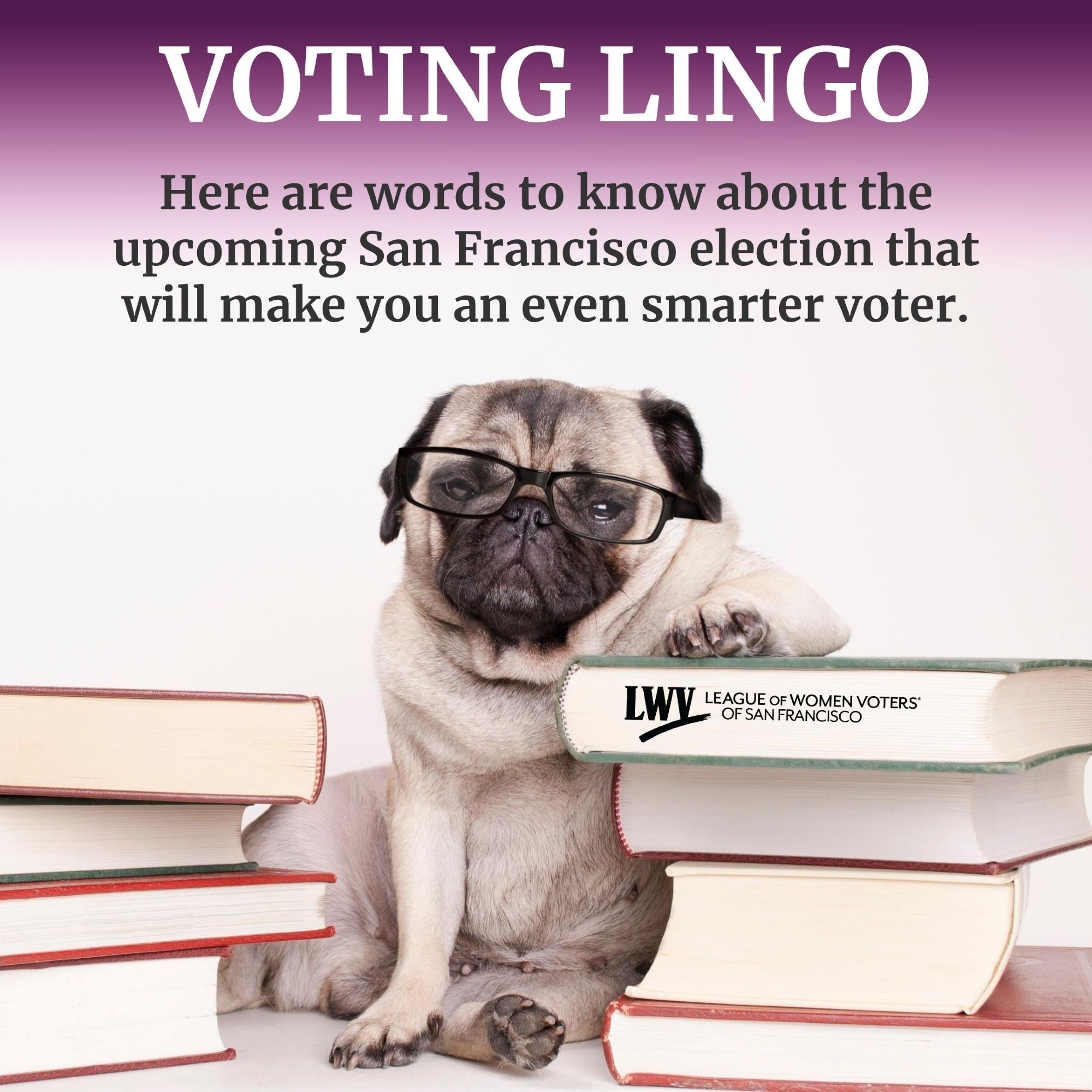 A pug dog wearing dark-rimmed eye glasses sits between two piles of books. The text above says: Voting lingo. Here are words to know about the upcoming San Francisco election that will make you an even smarter voter.