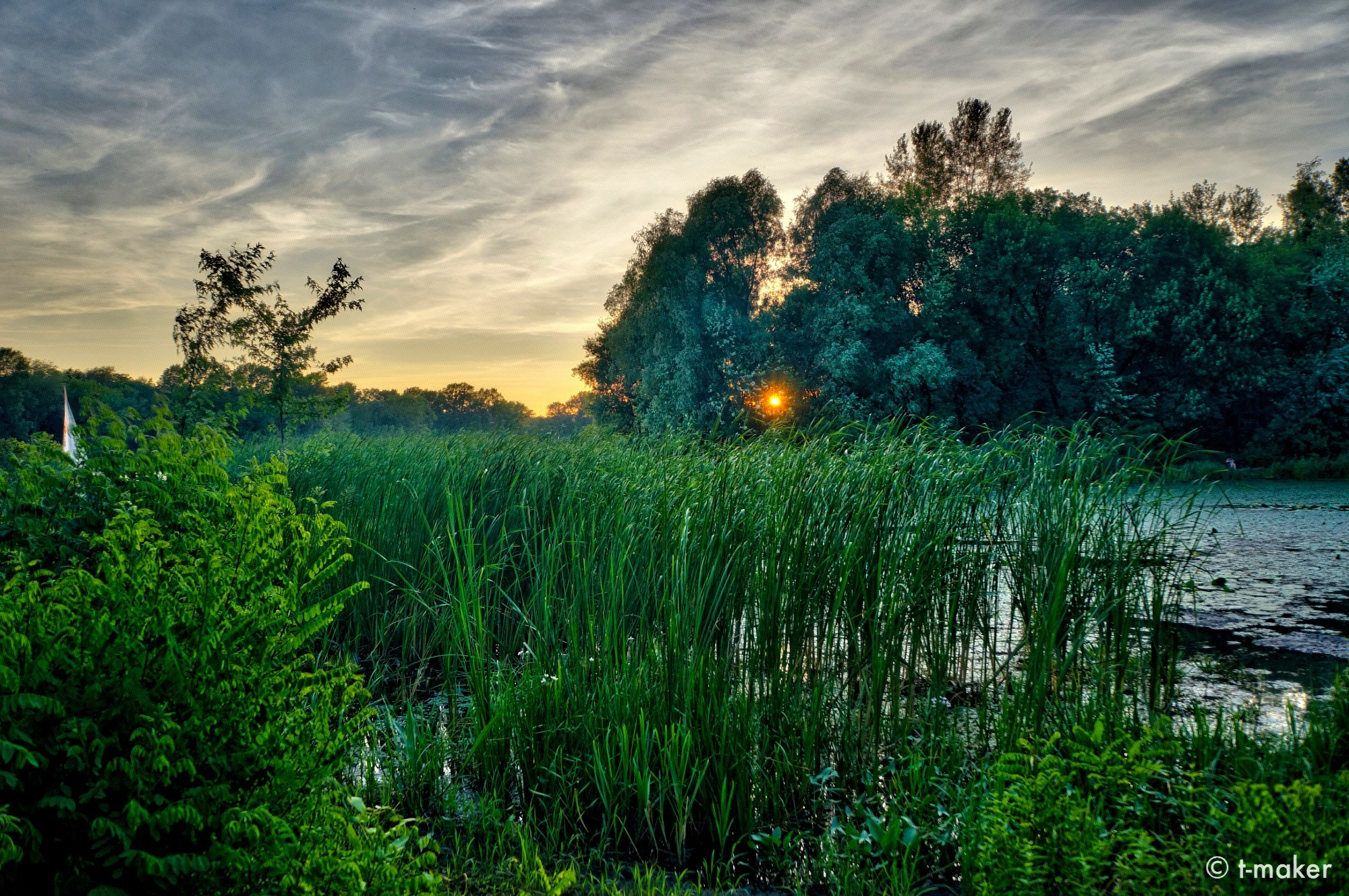 Watching the sunset on the river bank