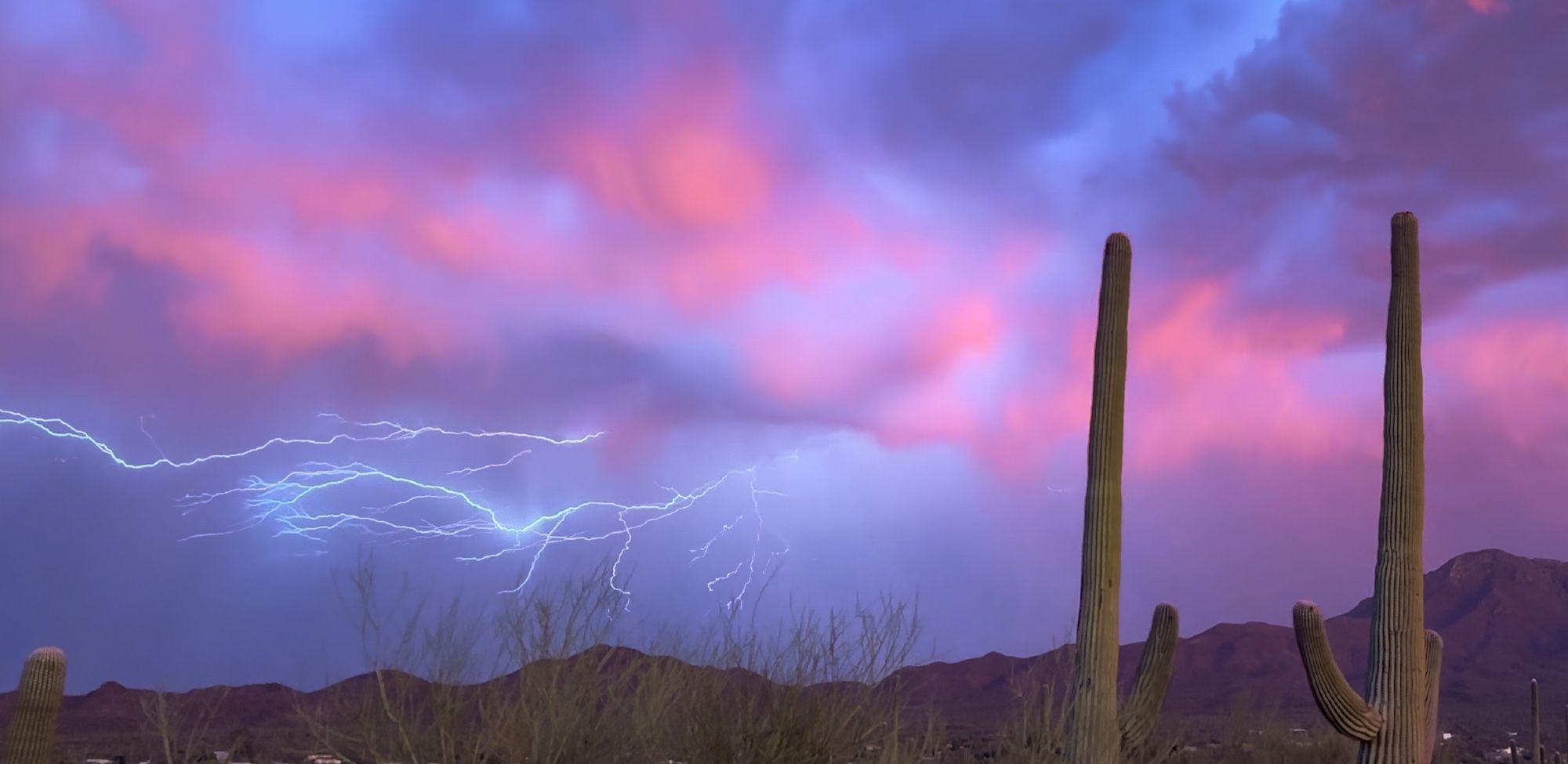 Lightning storm over the Sonoran Desert