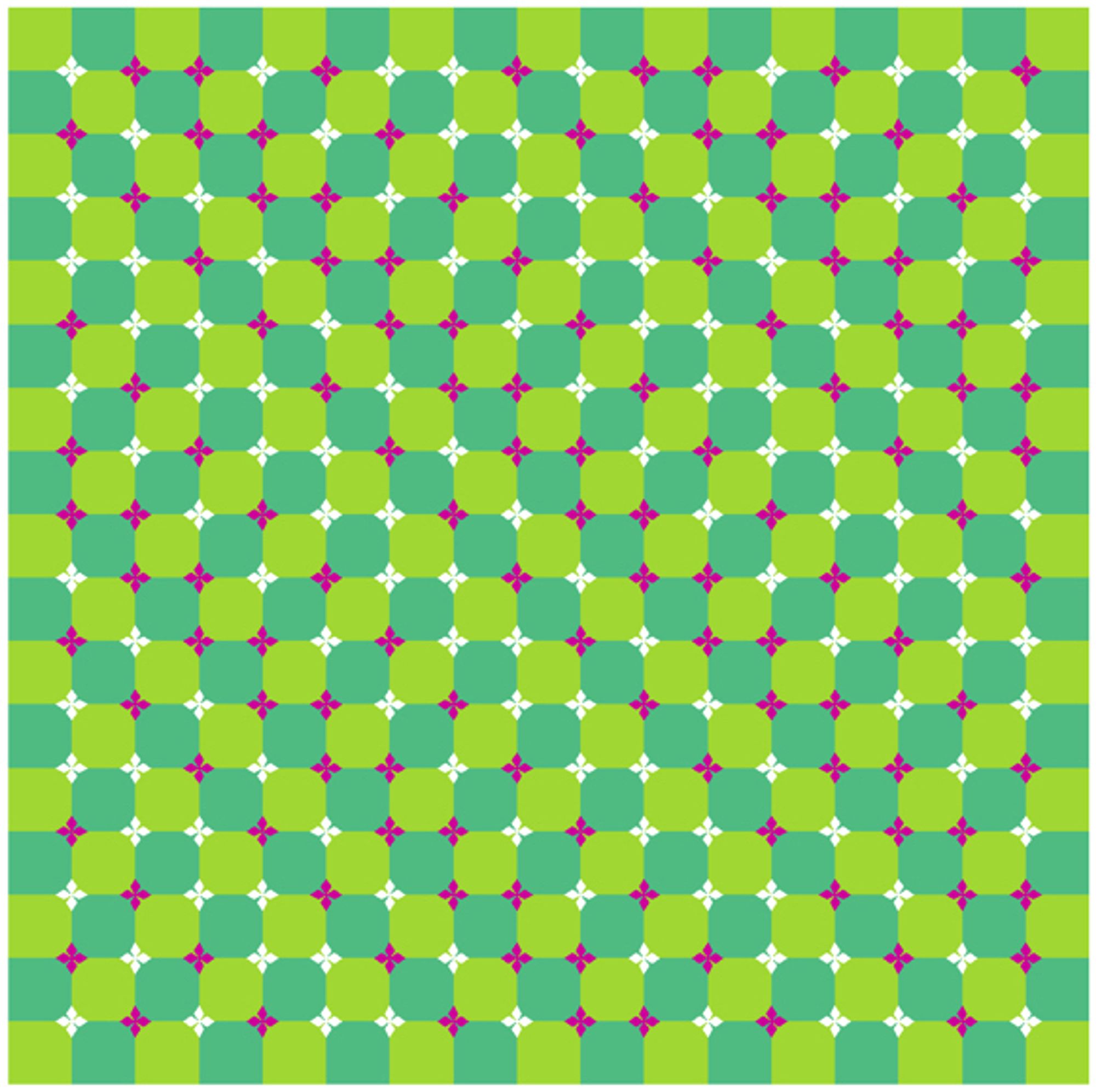 The “Primrose Field” optical illusion. This checkered background consists of squares but appears to wave. In addition, this figure also shows a waving motion illusion.

Copyright A.Kitaoka 2002