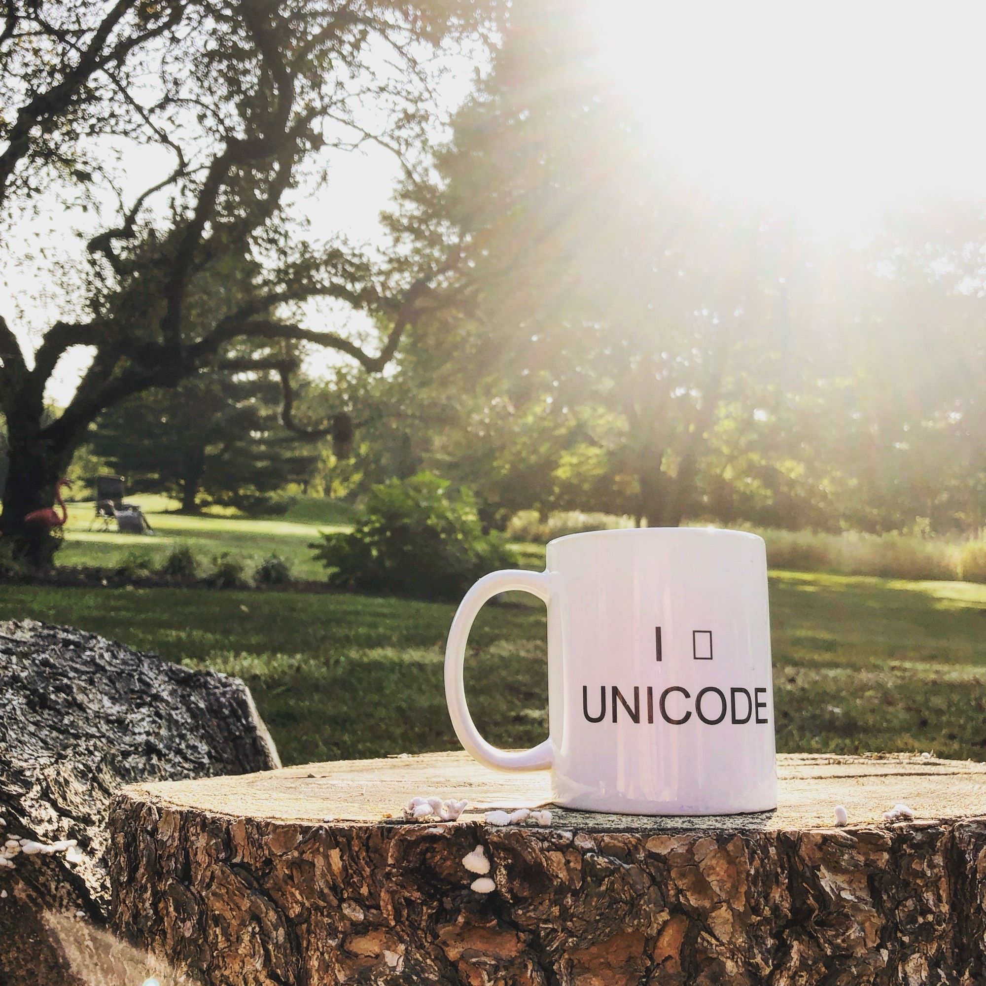 A mug that says “I (square) Unicode”