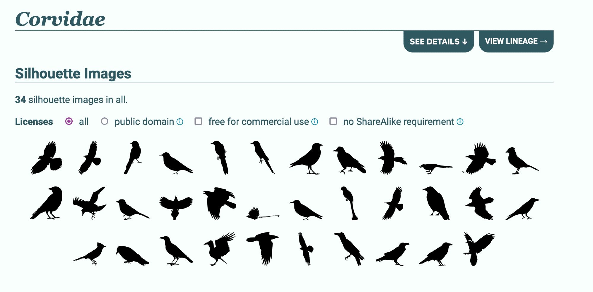 Silhouettes of 34 corvids from phylopic.org