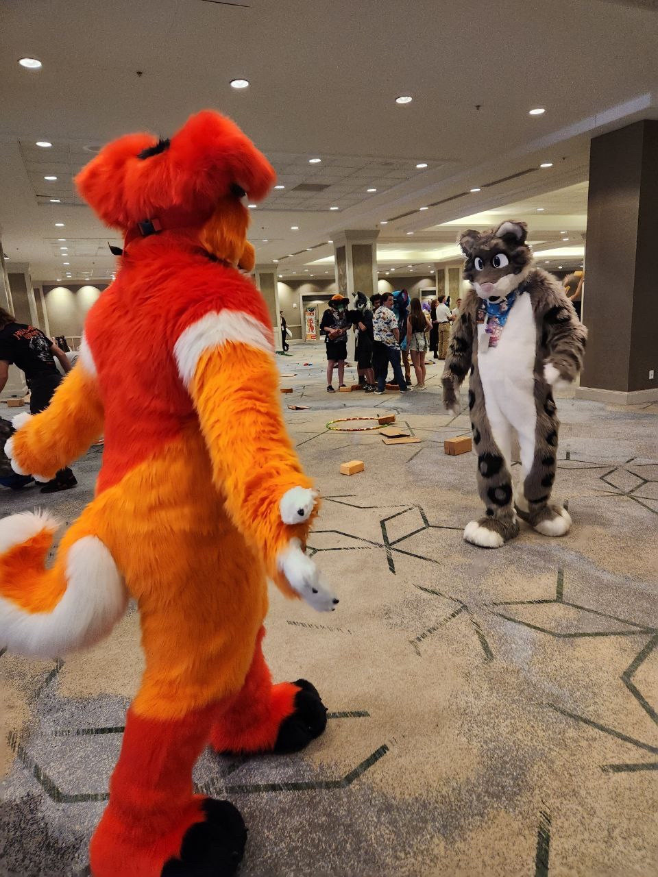 Red and orange dog with arms outstretched approaching an innocent snow leopard, minding his own business