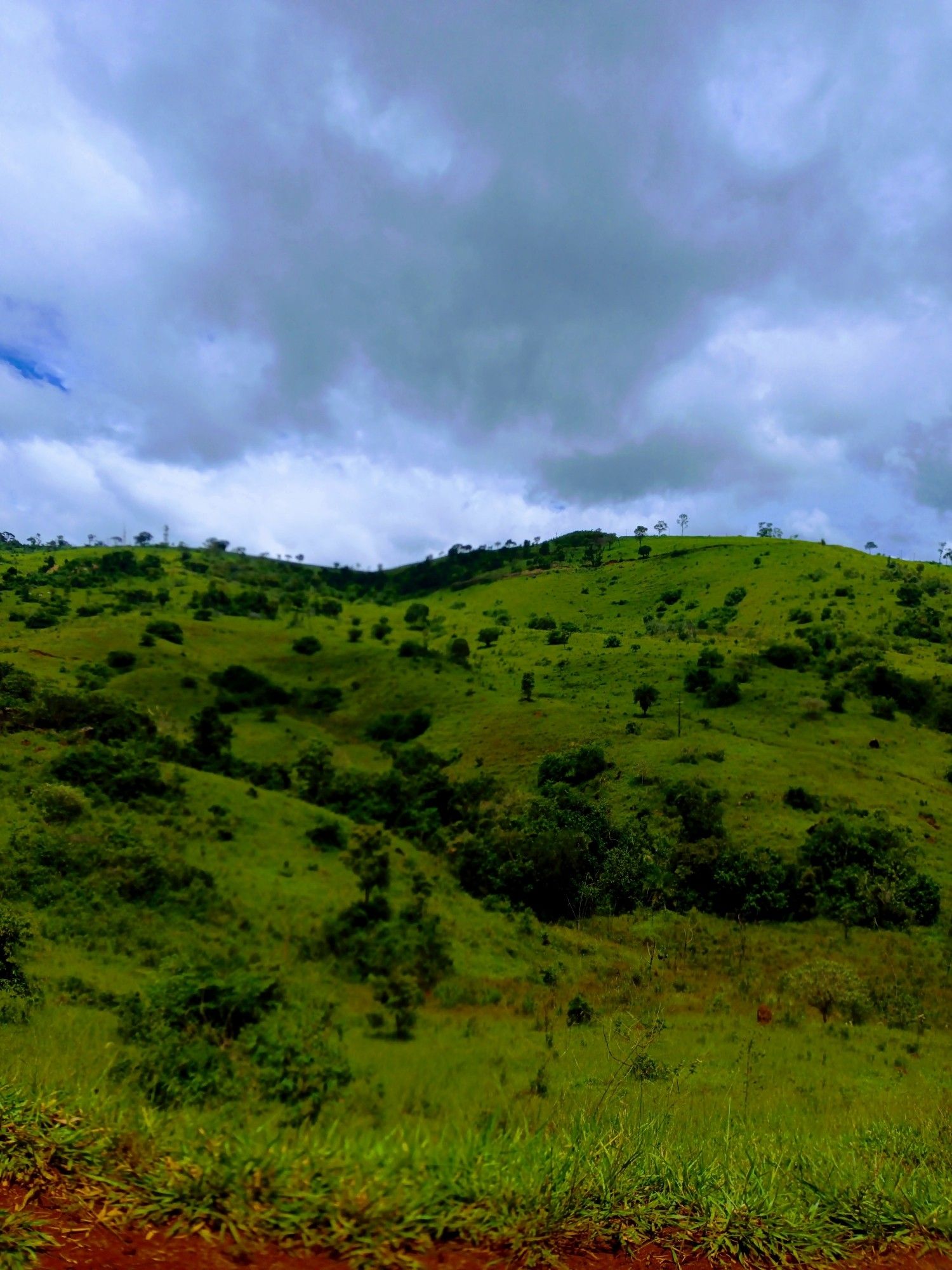 Foto de paisagem com natureza verde e céu azul com nuvens.