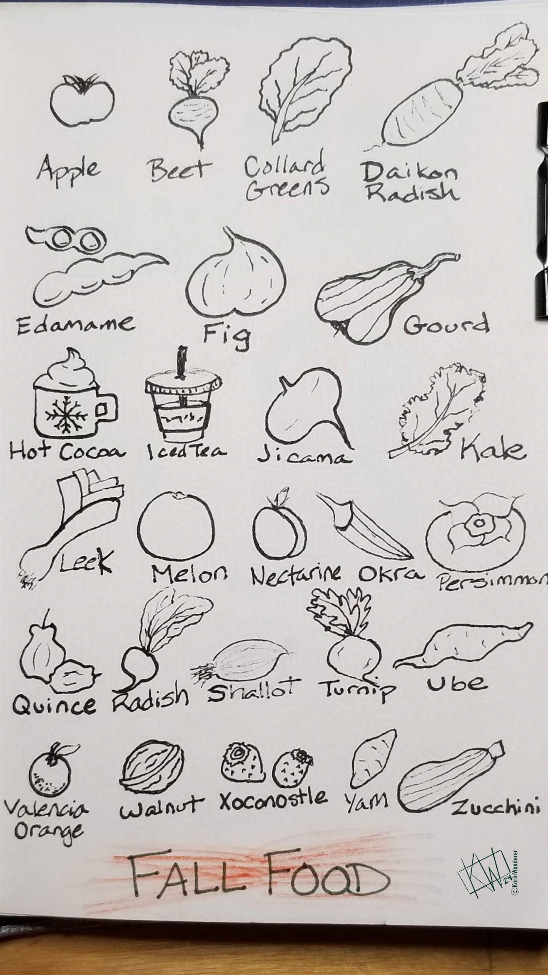 Ink drawings of Fall Foods arranged alphabetically: apple, beet, collard greens, daikon radish, edamame, fig, gourd, hot cocoa, iced tea, jicama, kale, leek, melon, nectarine, okra, persimmon, quince, radish, shallot, turnip, ube, valencia orange, walnut, xoconostle, yam, & zucchini.