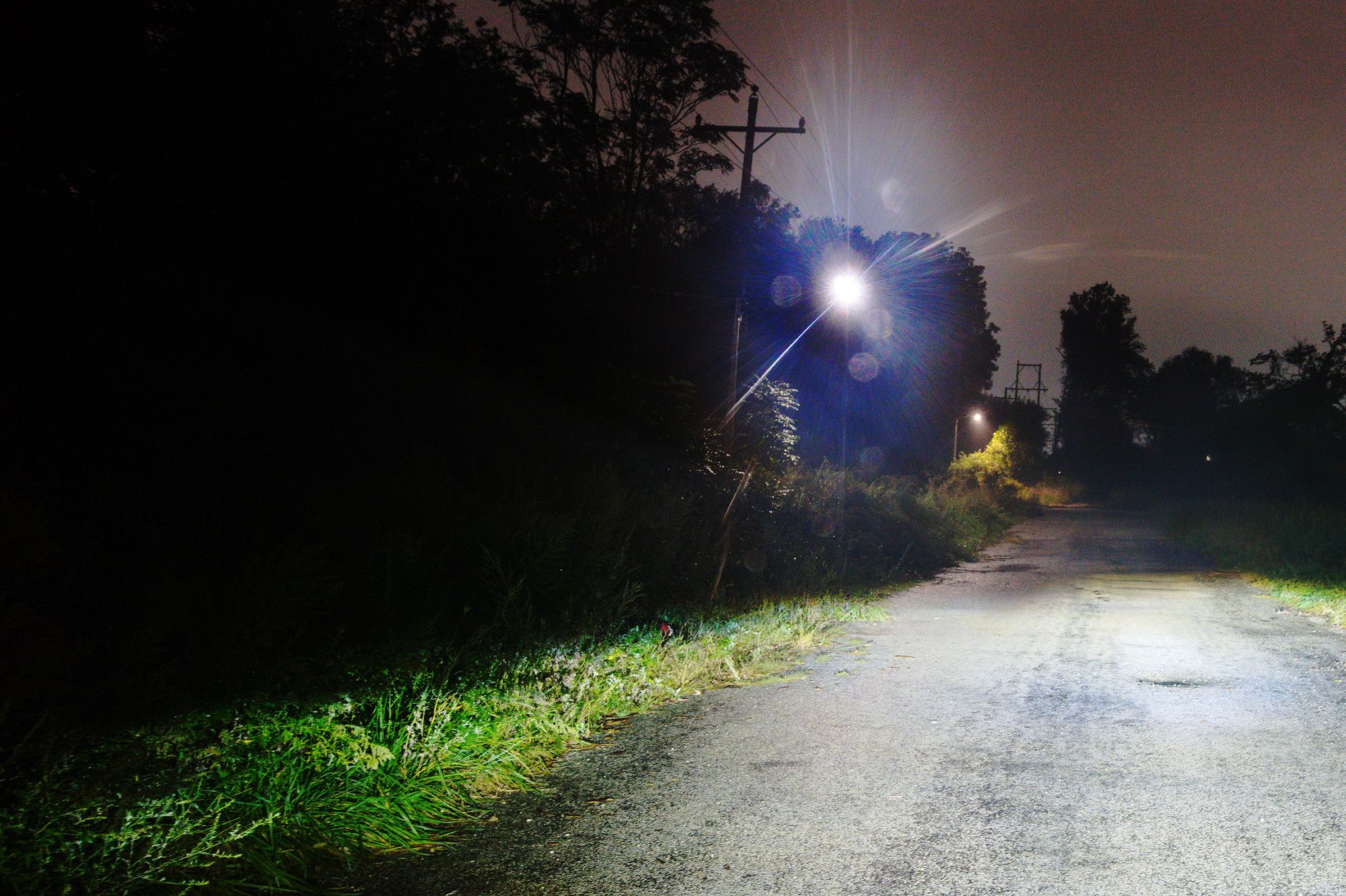 We're on a backroad, stopped, with our headlights illuminating the road ahead of us. A pair of streetlights illuminate the side of the road in the mid- and background. Slight lens flairs sparkle around the first streetlight. Lush grass lines both sides of the road.