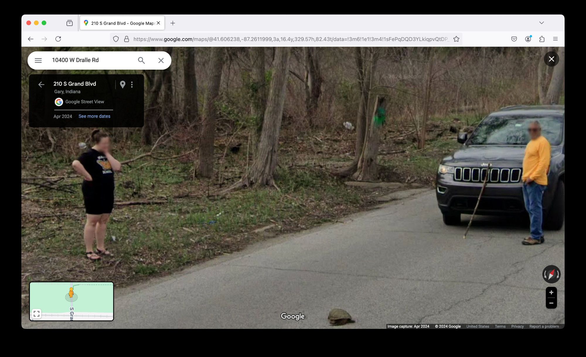 Narrow shot of same scene. A woman stands on the shoulder of the road, one fist on hip, other hand on neck, staring at the animal with an expression of exasperation. A man in an orange shirt stands in front of his jeep, which is directly blocked by the animal. There is a 4 foot long stick leaned up against the grill of his vehicle. Was he planning to prod the little fellow along?