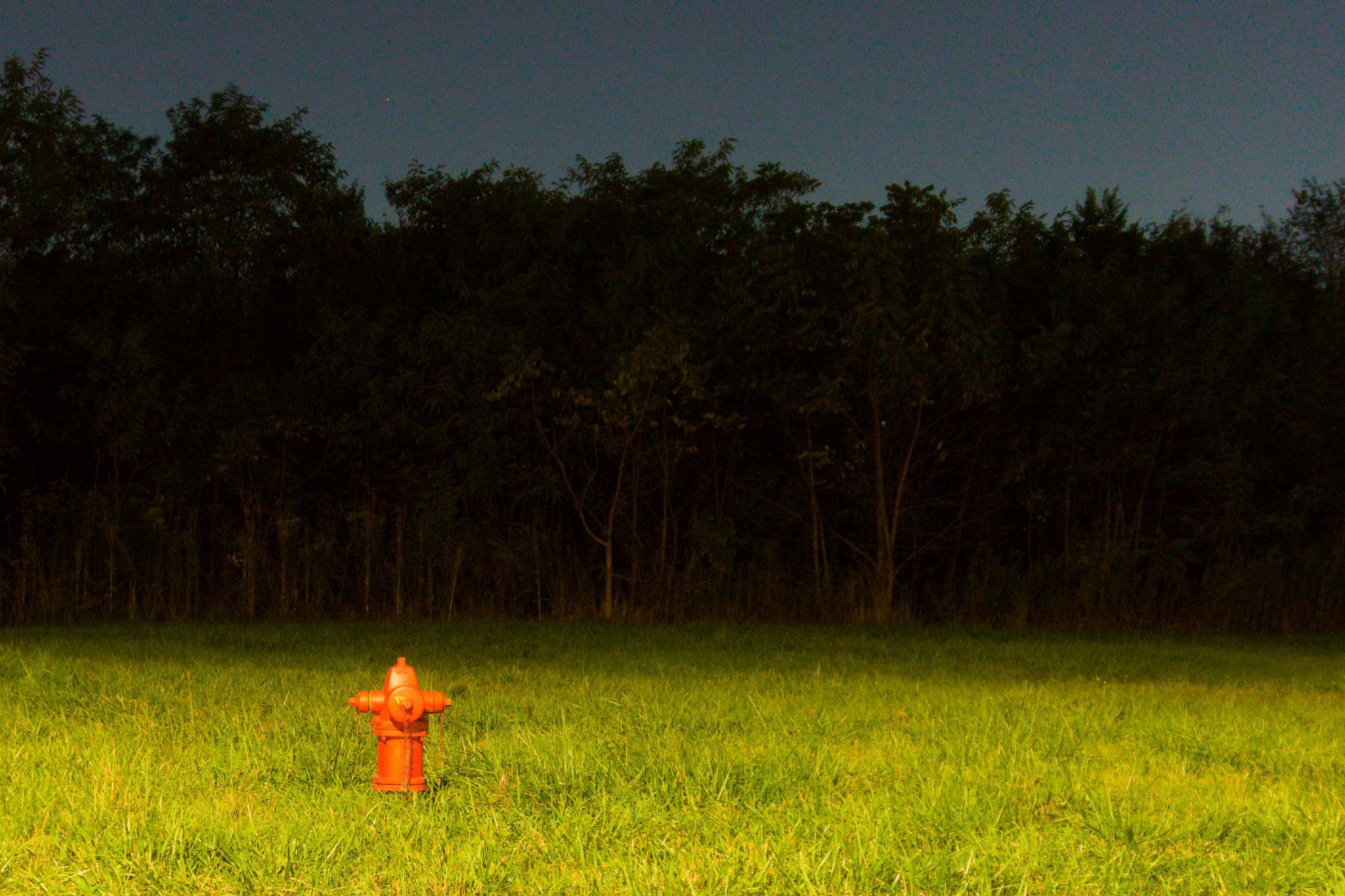 In a grassy field, a fire hydrant stands alone. It's glossiness and saturation and orange-red color stand out eerily against the uniform, paler green tones of the grass. Behind, a line of trees stands nearly in the shadows, their trunks barely visible above the noise floor. Behind them, the city light pollutes the night sky with a faint milky bluish gray.