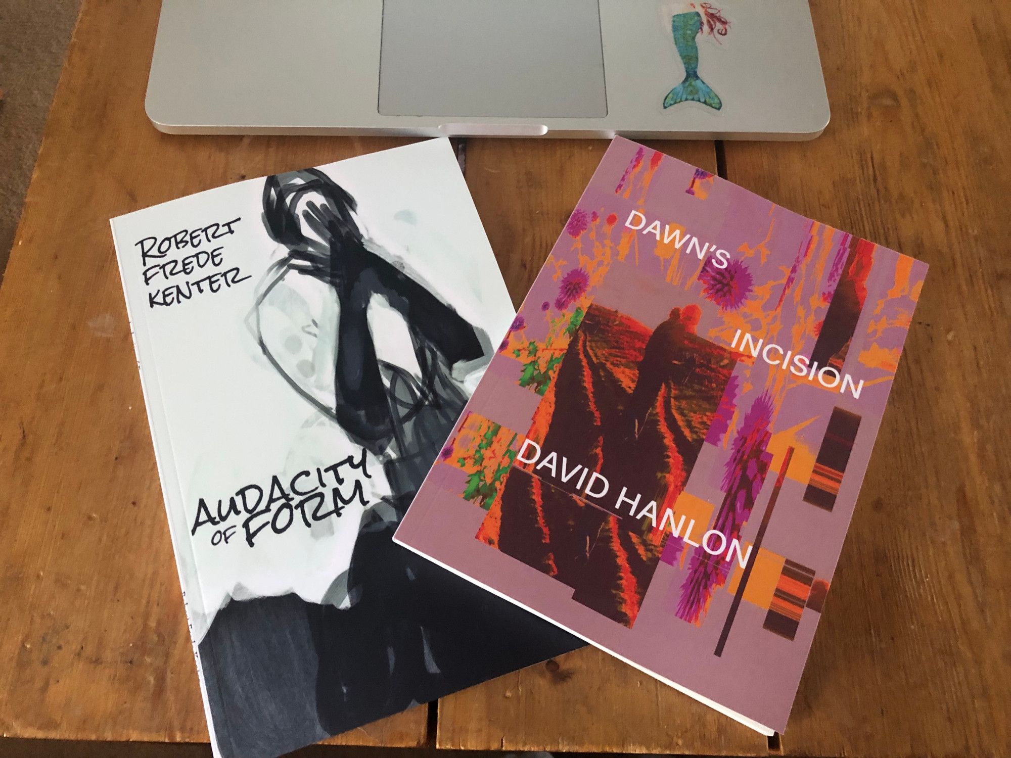 Photo of these two collections side by side on a wooden table, with a bit of my laptop trackpad showing, sporting a mermaid sticker. 

The first collection features a pink cover, with an edited photo tinted red and orange of some people in a field, one image of two people standing next to each other superimposed over another with one person in the distance. The font for the title and author name is in white font, in caps.

The second cover is black and white, a painted image of a person, gender is uncertain, covering their face in two long-gloved hands, with the title and author written in black against a white background.