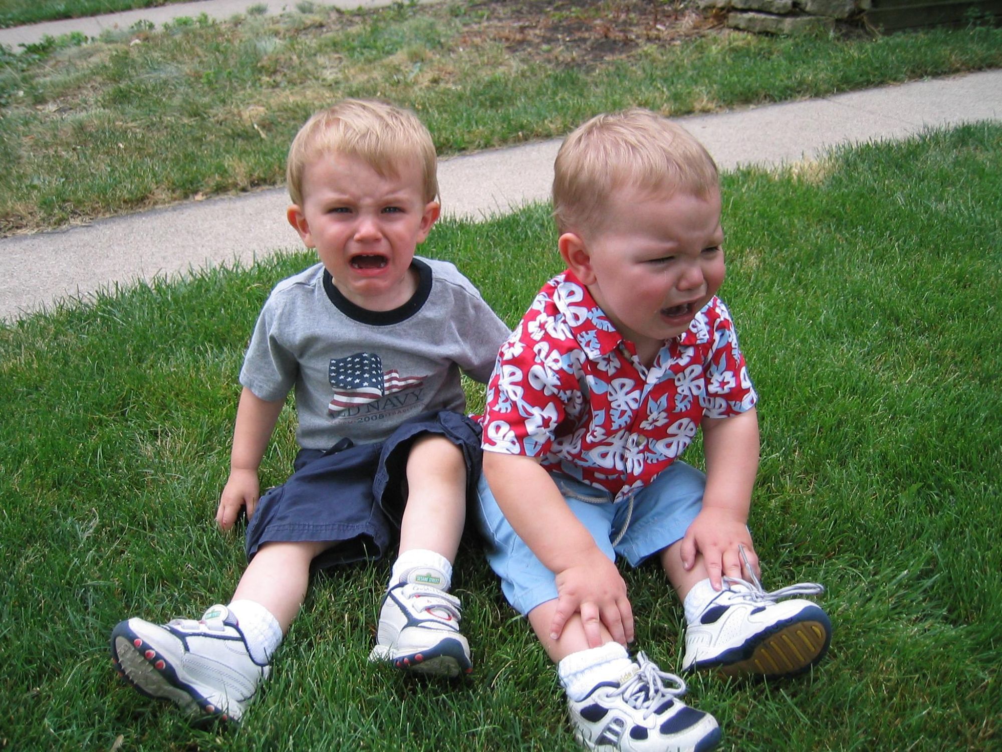 Two toddlers, sitting on grass. Dressed in shorts, short sleeve shirts, and sneakers. Both sobbing uncontrollably at the though of having their picture taken