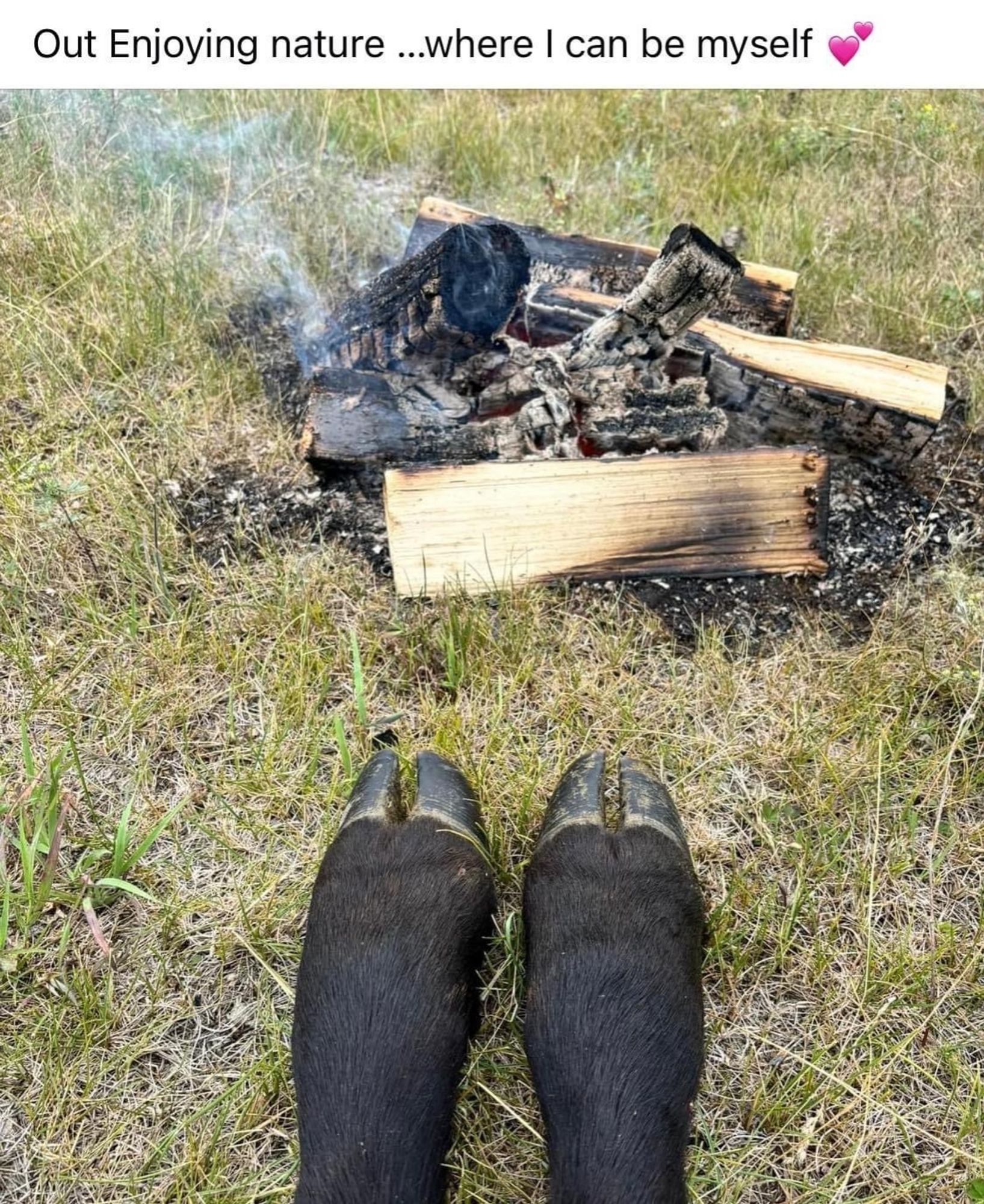 Out enjoying nature... Where I can be myself 💕

[Picture of a smoldering campfire with two black hooves stretched out at the bottom of the shot]