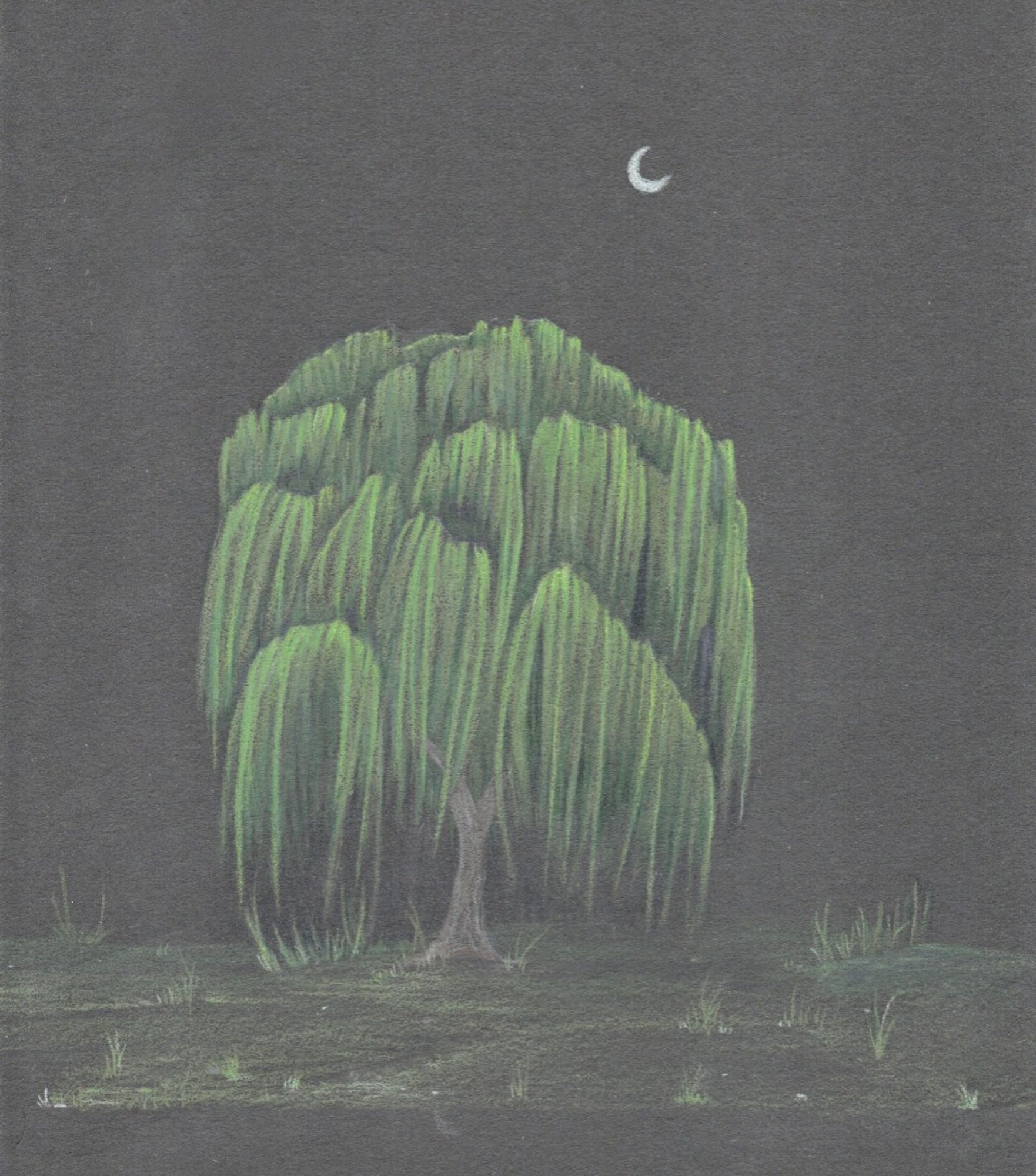 The original artwork that was used for the cover. A colored pencil illustration of a lone willow tree standing in a field at night. The leaves and branches and grass shooting up from the ground make the tree resemble a man's face, screaming.