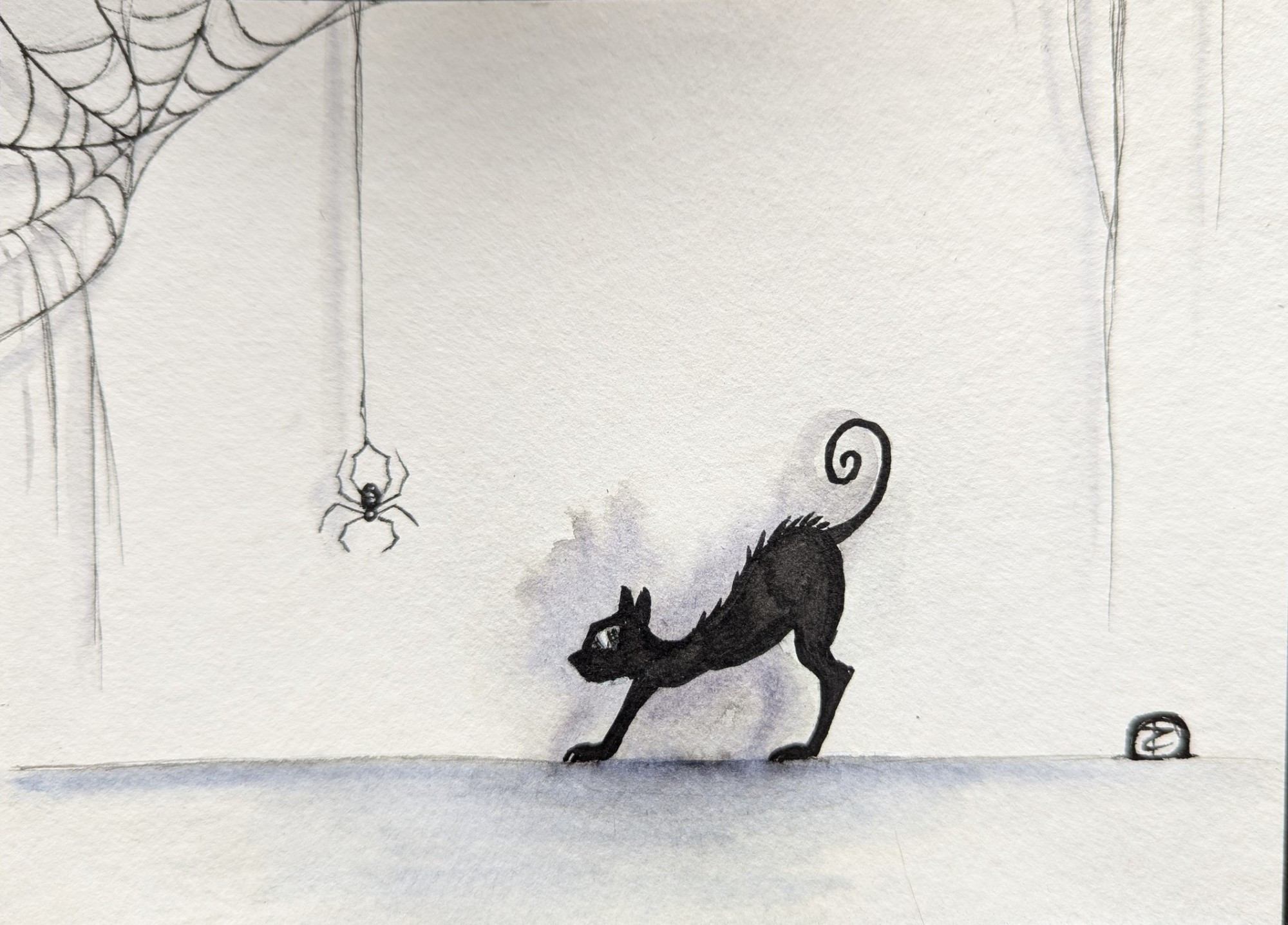 A drawing of a black cat with its back arched, possibly about to pounce/attack a large spider that is hanging in front of it