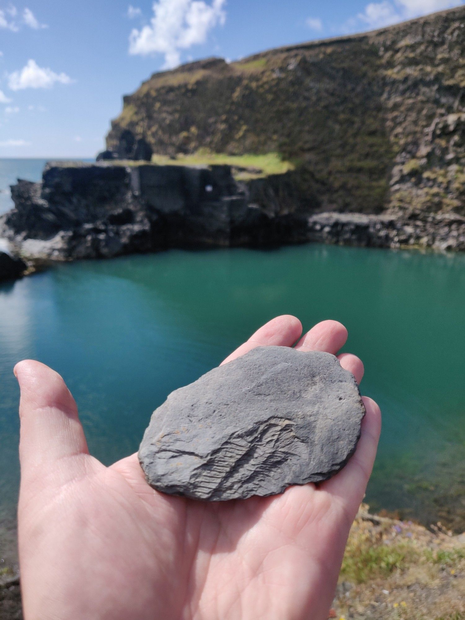 A fossil Trilobite held on a hand overlooking an old quarry that has been filled by the ocean. The sun is shining and the water is emerald green.