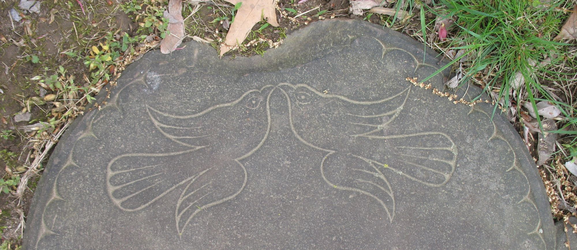 Detail of the top of a dark gray tombstone. Two stylized birds face each other. There is a scalloped border on the tombstone, which is lying flat on the ground.