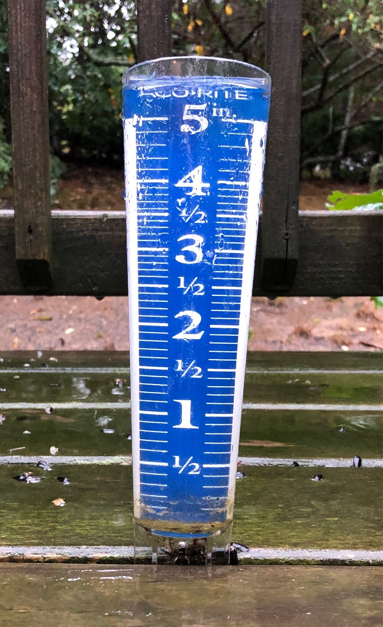 A wet plastic rain gauge on a wooden deck shows water over the five-inch mark. The rain gauge has a blue background with white lettering.