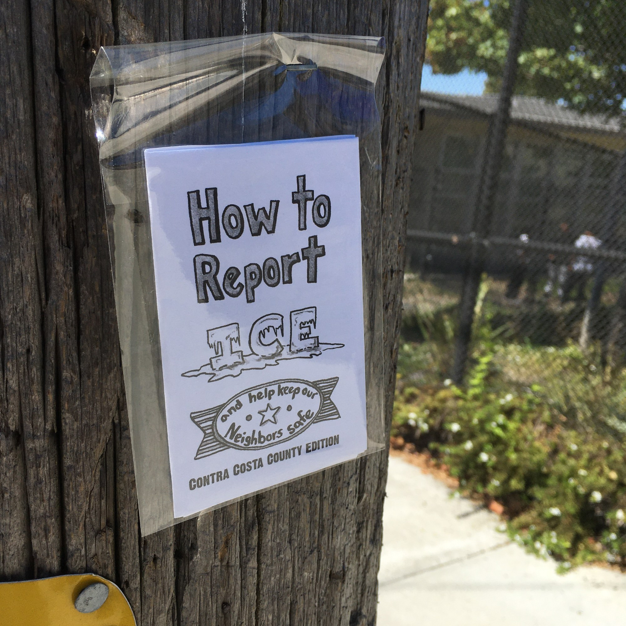 Booklet reading How to Report Ice is stapled to a telephone pole inside a little plastic bag. A middle school is visible in the background