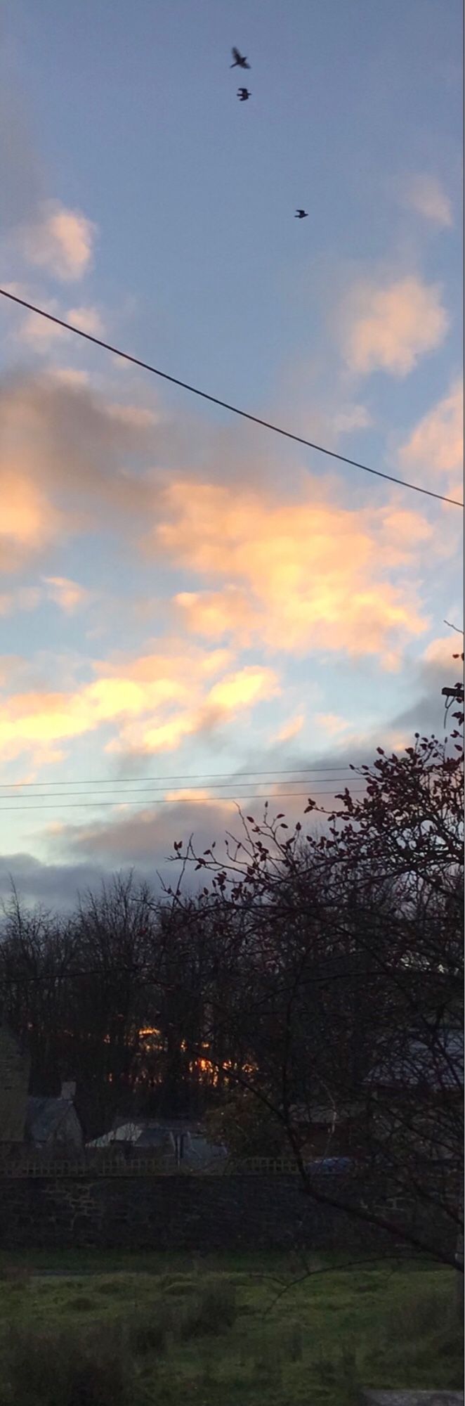 Morning as the sun rises behind dark trees a touch of gold shines though the bare branches
Above the trees - grey clouds first then blue and the glow of the sun on white puffs adds the lift and promise of better weather for the day