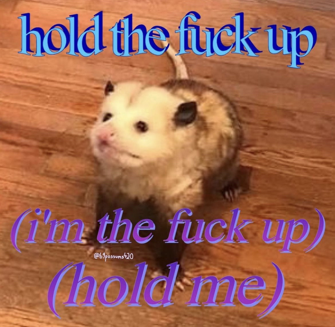 Meme with an opossum in center sitting on a wooden floor looking to left of camera. Text reads, “hold the fuck up
(i’m the fuck up)
(hold me)”