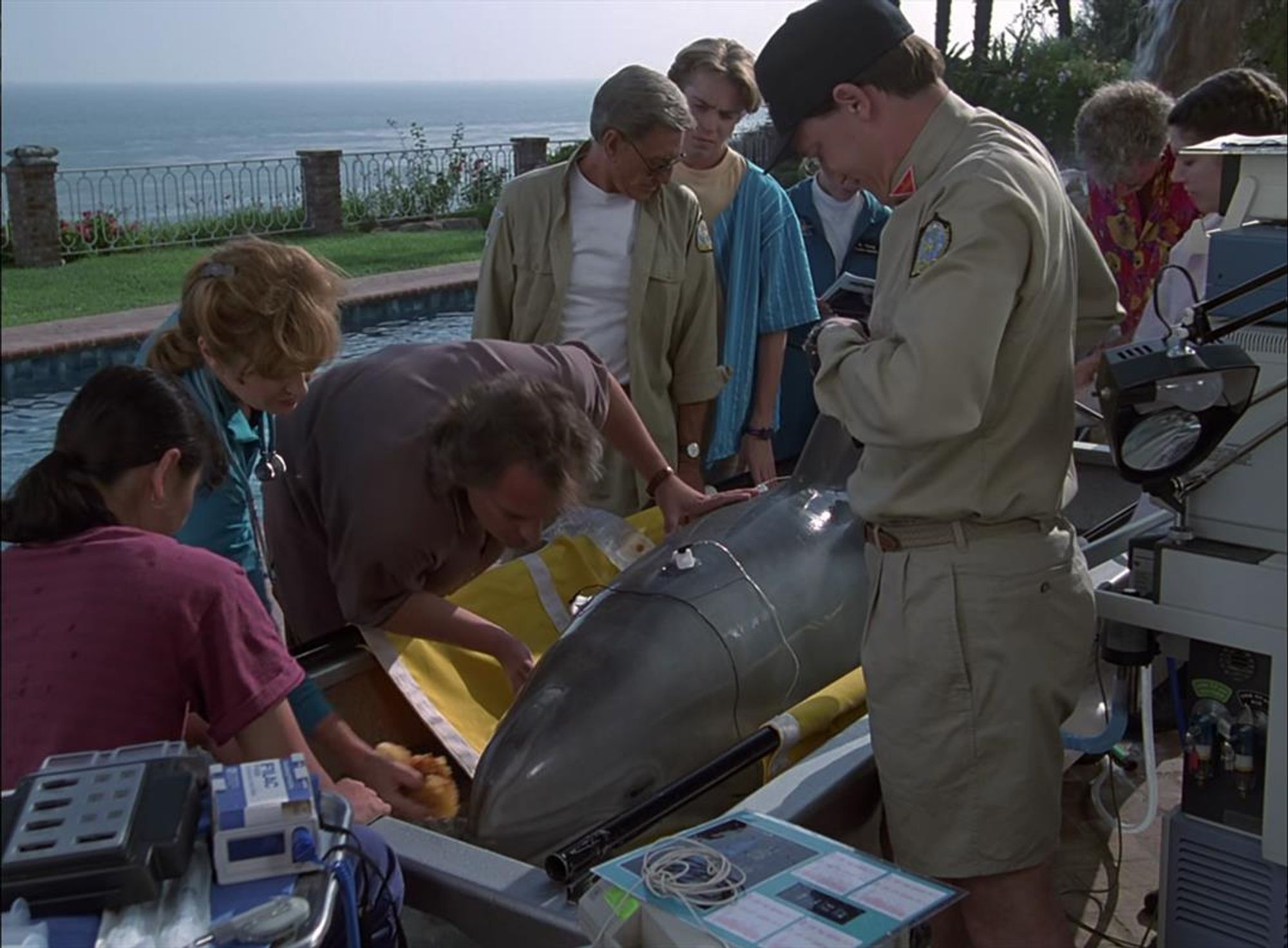 Szene aus "seaQuest": Darwin wird behandelt und ist an diverses technisches Equipment angeschlossen. Er liegt auf einer Bahre halb im Wasser, um ihn herum Crewmitglieder und Veterinärpersonal.