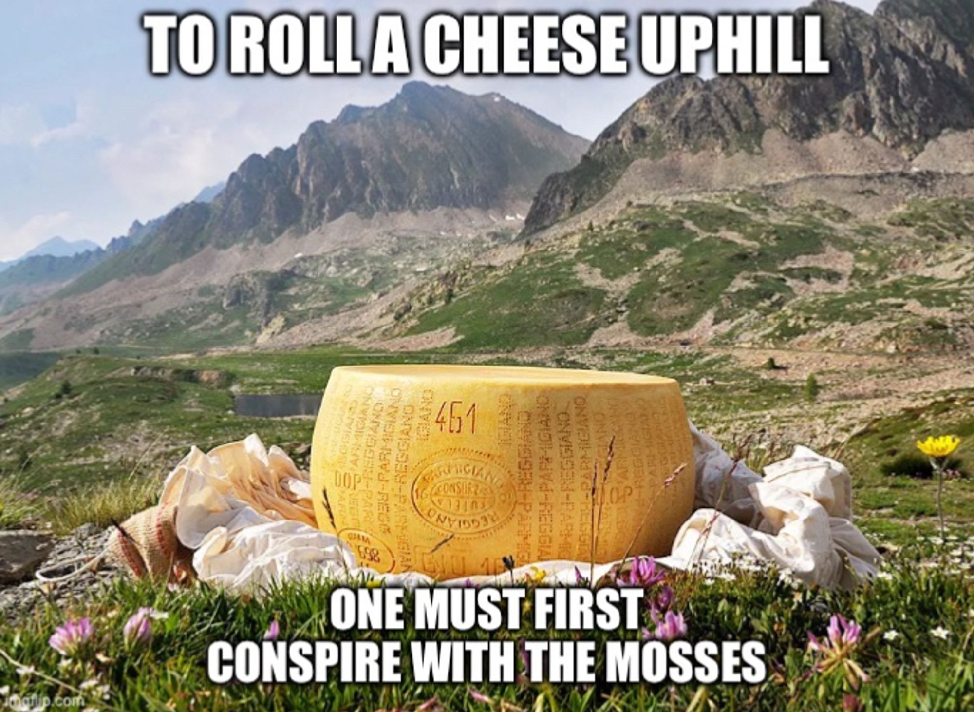 A wheel of Parmesan cheese on a white cloth on the grass, surrounded by flowers, with mountains in the background.
Meme text reads: 
To roll a cheese uphill
One must first
Conspire with the mosses.